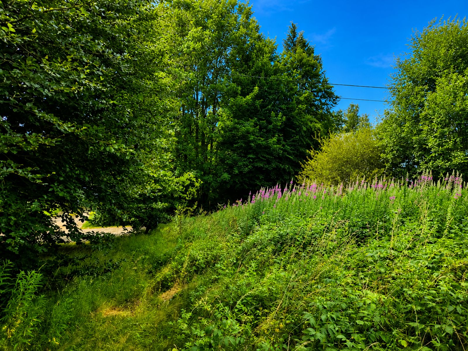 A VENDRE - Suxy - Terrain &agrave; b&acirc;tir - Sudimmo