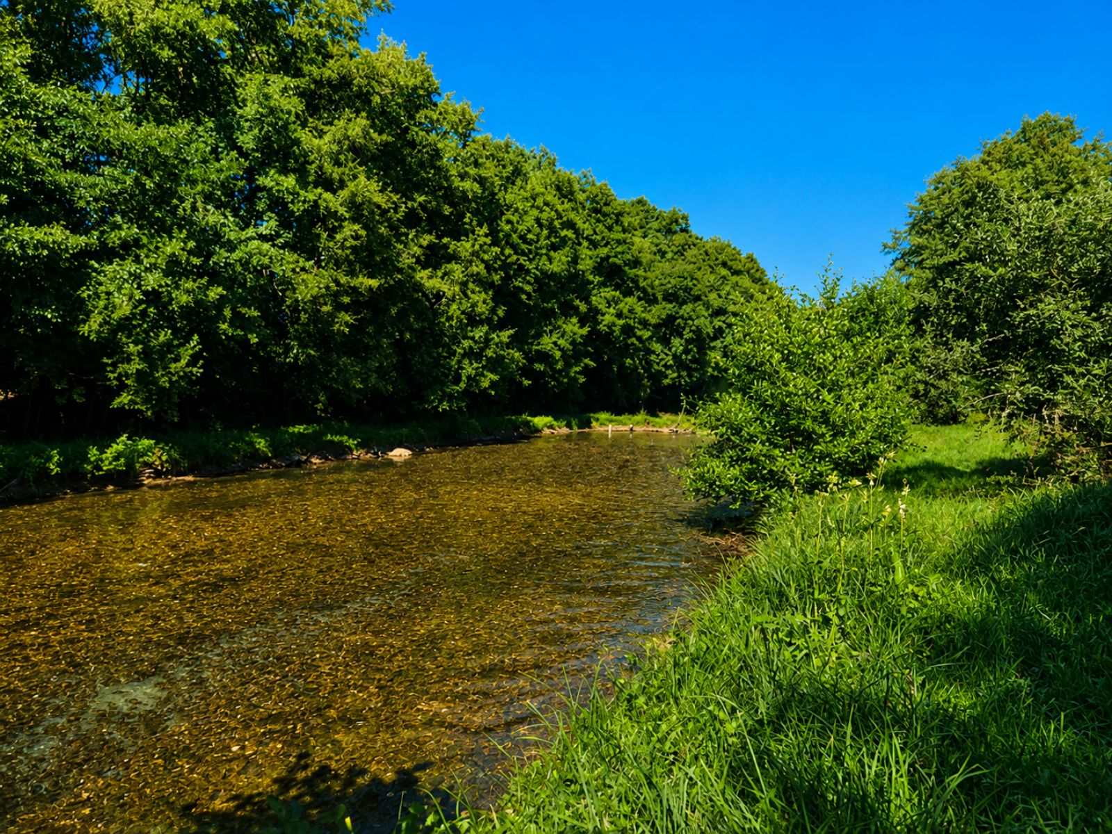 A VENDRE - Pin - Etangs - Sudimmo