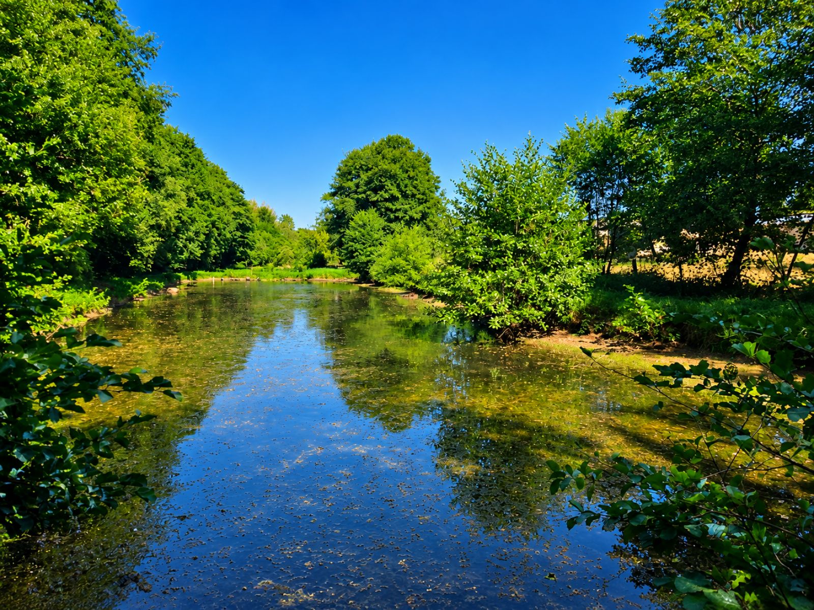 A VENDRE - Pin - Etangs - Sudimmo
