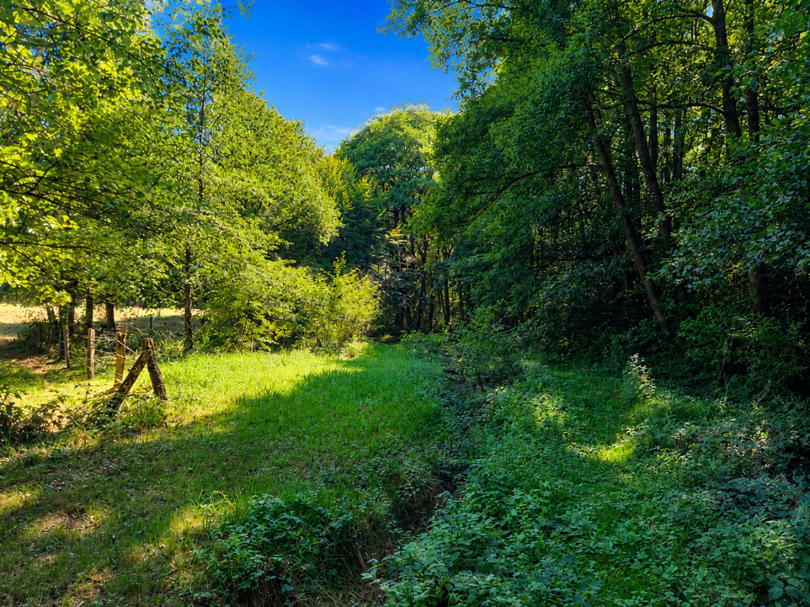 A VENDRE - Pin - Etangs - Sudimmo