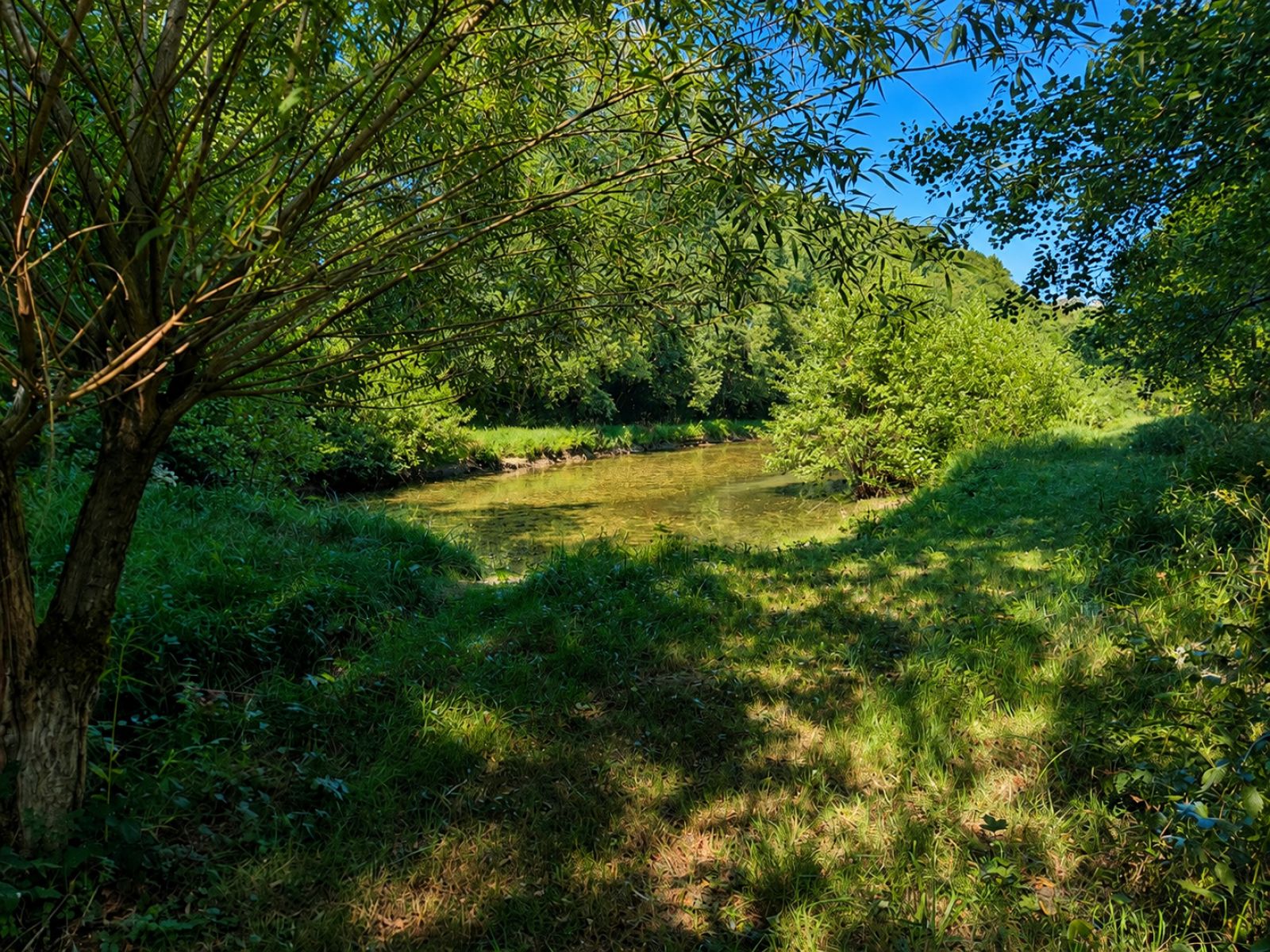 A VENDRE - Pin - Etangs - Sudimmo
