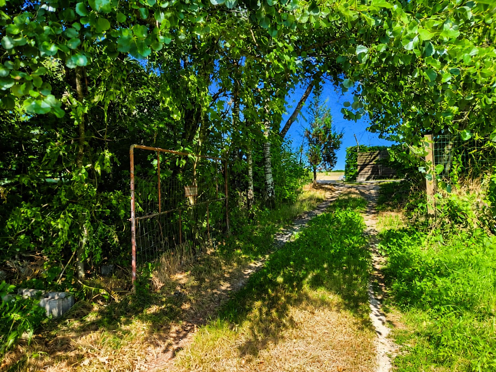 A VENDRE - Pin - Etangs - Sudimmo
