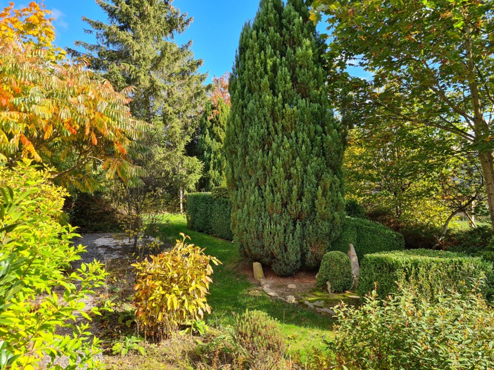 A VENDRE - LouftÃ©mont - Bail Ã  vie - Sudimmo