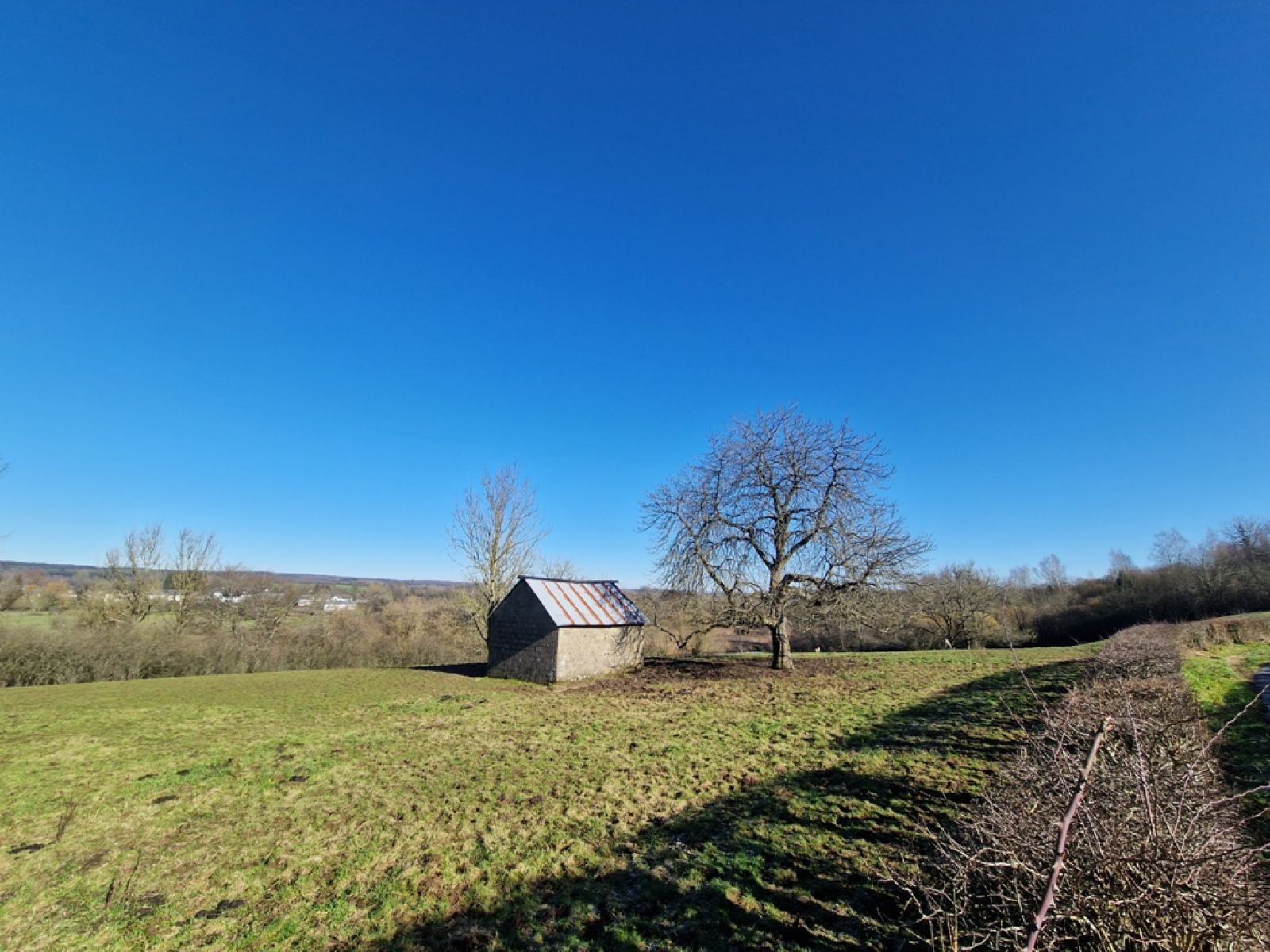 A VENDRE - Jamoigne - Superbe parcelle de 1ha 58 ca - Sudimmo