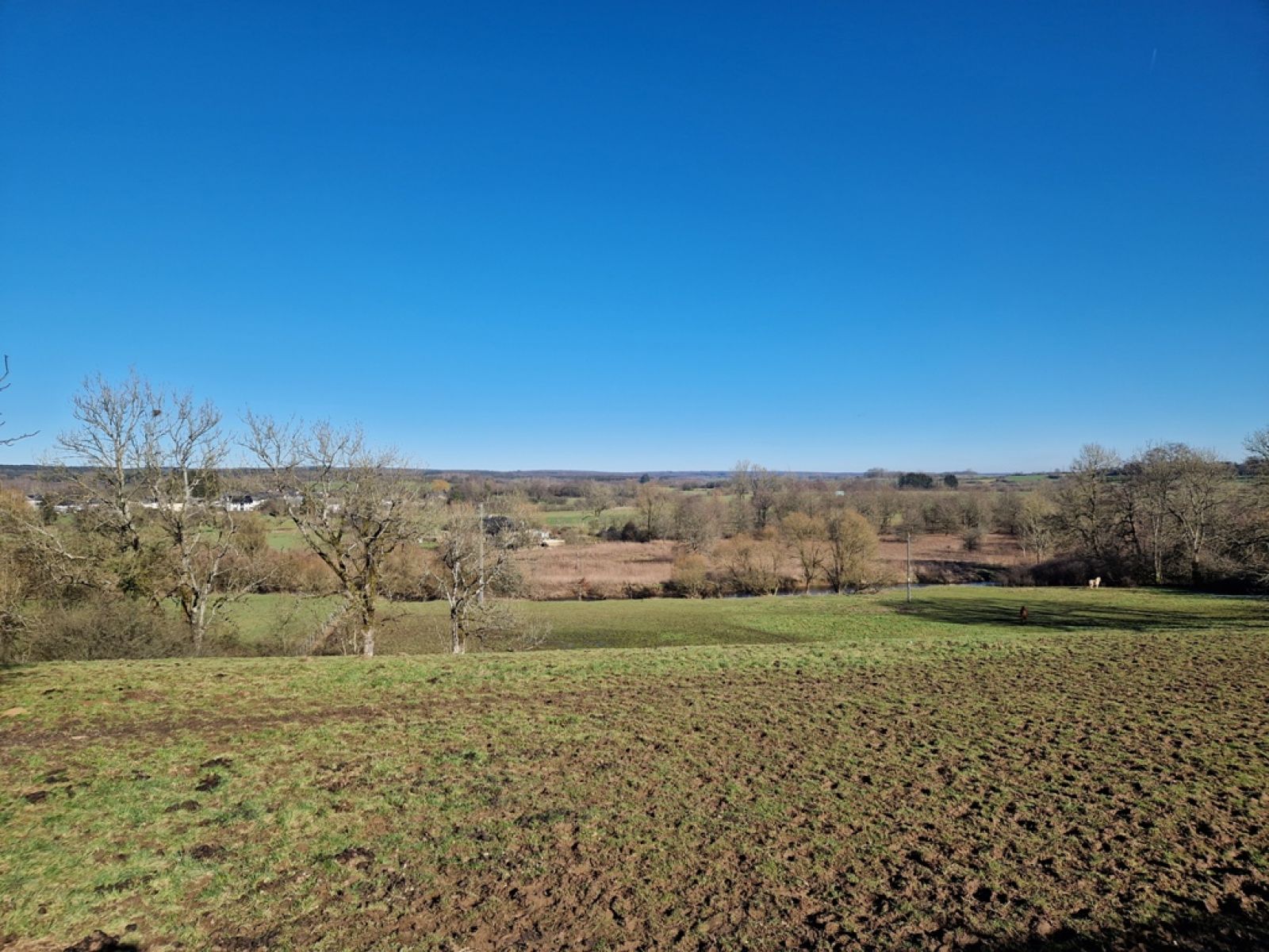 A VENDRE - Jamoigne - Superbe parcelle de 1ha 58 ca - Sudimmo