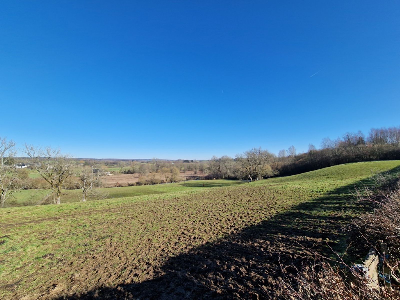 A VENDRE - Jamoigne - Superbe parcelle de 1ha 58 ca - Sudimmo