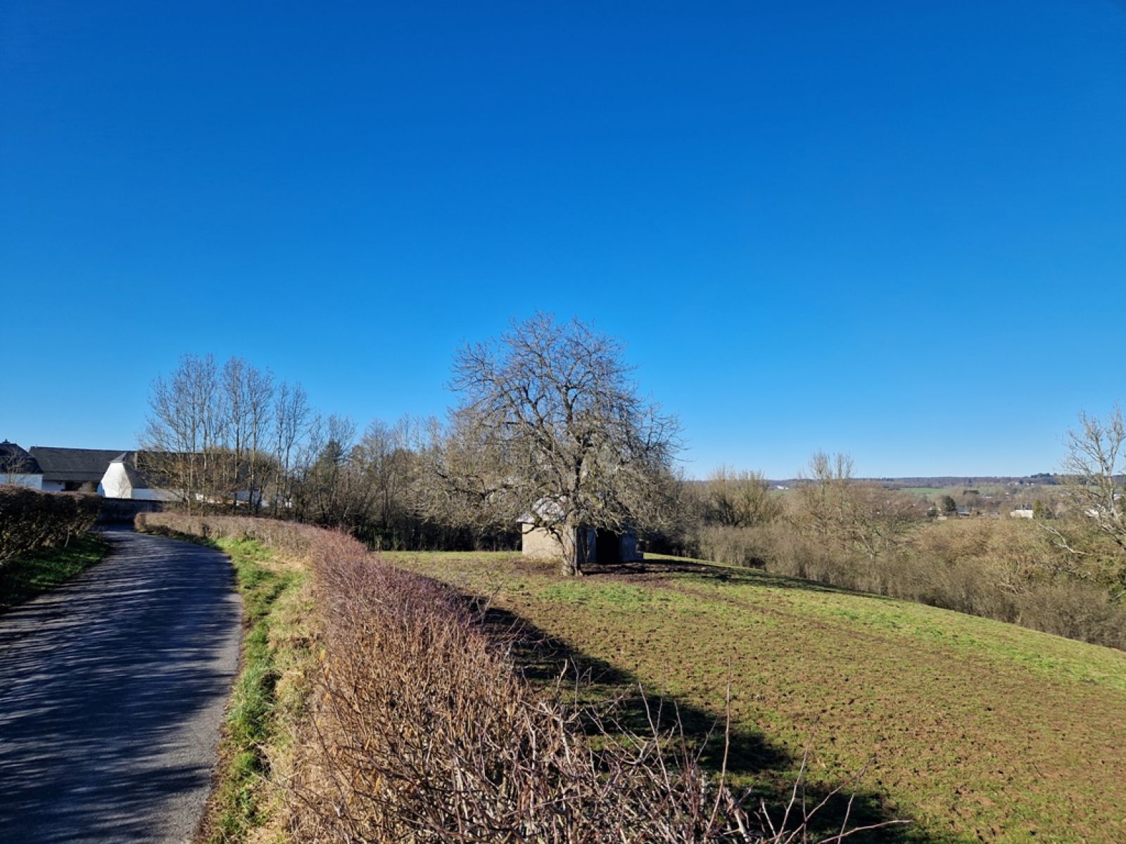 A VENDRE - Jamoigne - Superbe parcelle de 1ha 58 ca - Sudimmo