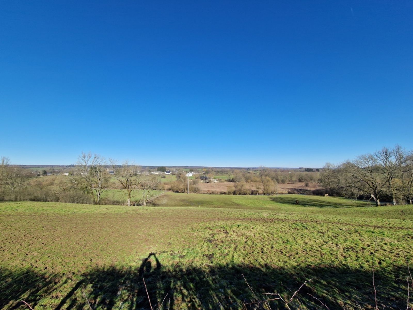 A VENDRE - Jamoigne - Superbe parcelle de 1ha 58 ca - Sudimmo