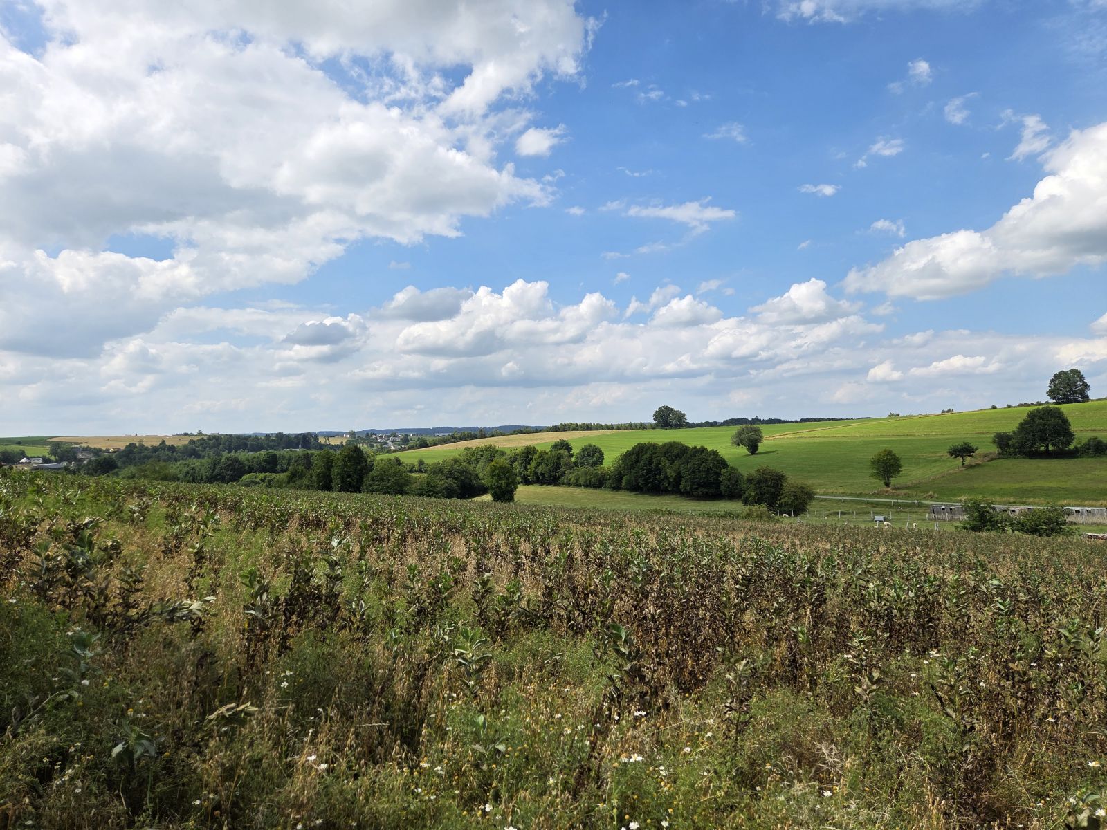 A VENDRE - Grapfontaine - Superbe parcelle constructible - Sudimmo