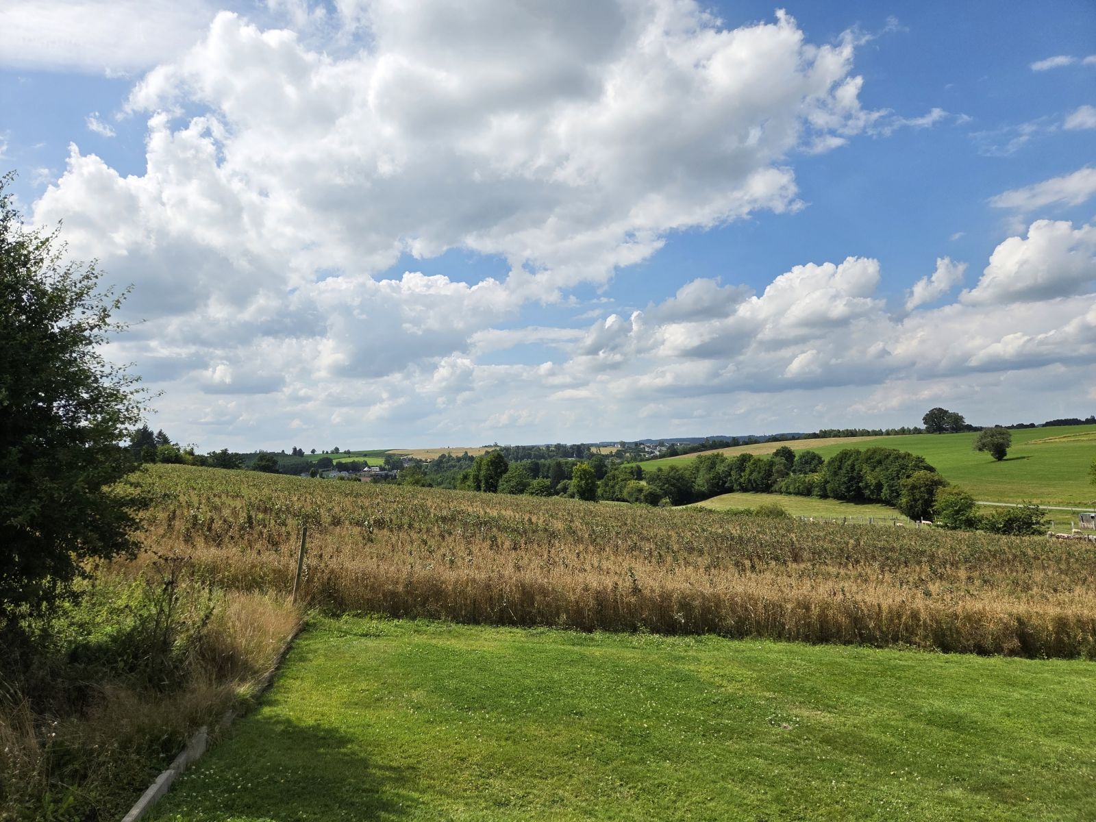 A VENDRE - Grapfontaine - Superbe parcelle constructible - Sudimmo