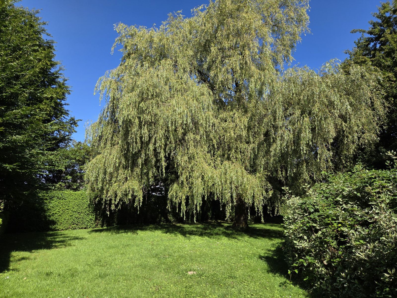 A VENDRE - Lacuisine - Splendide fermette - Sudimmo