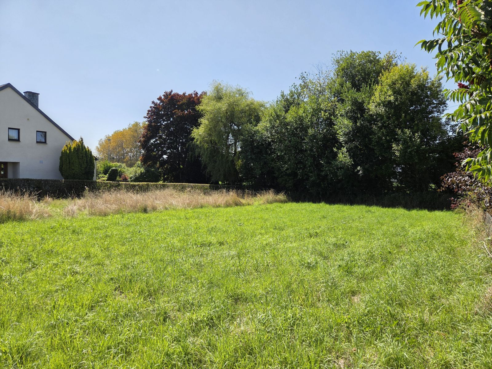 A VENDRE - Florenville - Terrain constructible - Sudimmo