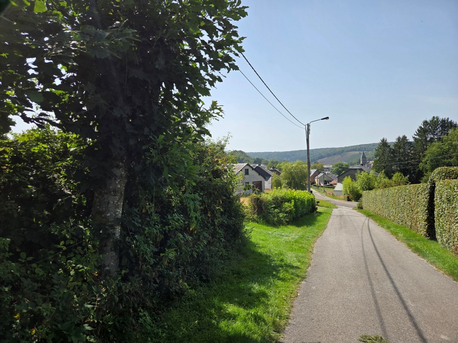A VENDRE - Herbeumont - Terrain sur 86 ares - Sudimmo