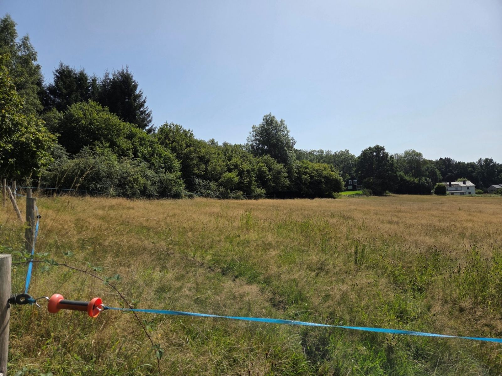 A VENDRE - Herbeumont - Terrain sur 86 ares - Sudimmo