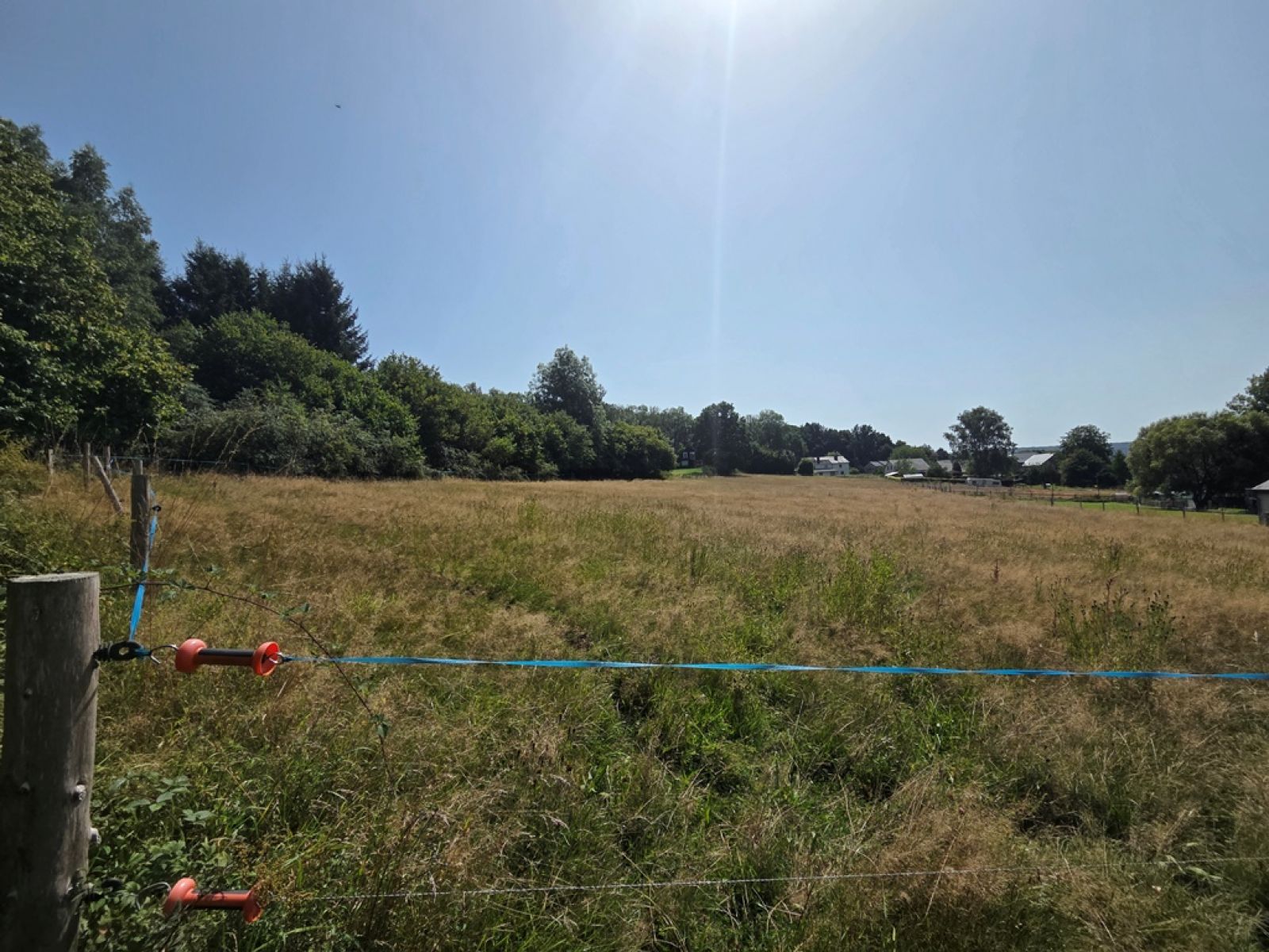 A VENDRE - Herbeumont - Terrain sur 86 ares - Sudimmo