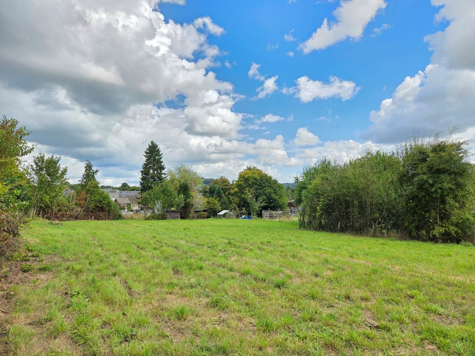 A VENDRE - Villers-devant-Orval - Maison - Sudimmo
