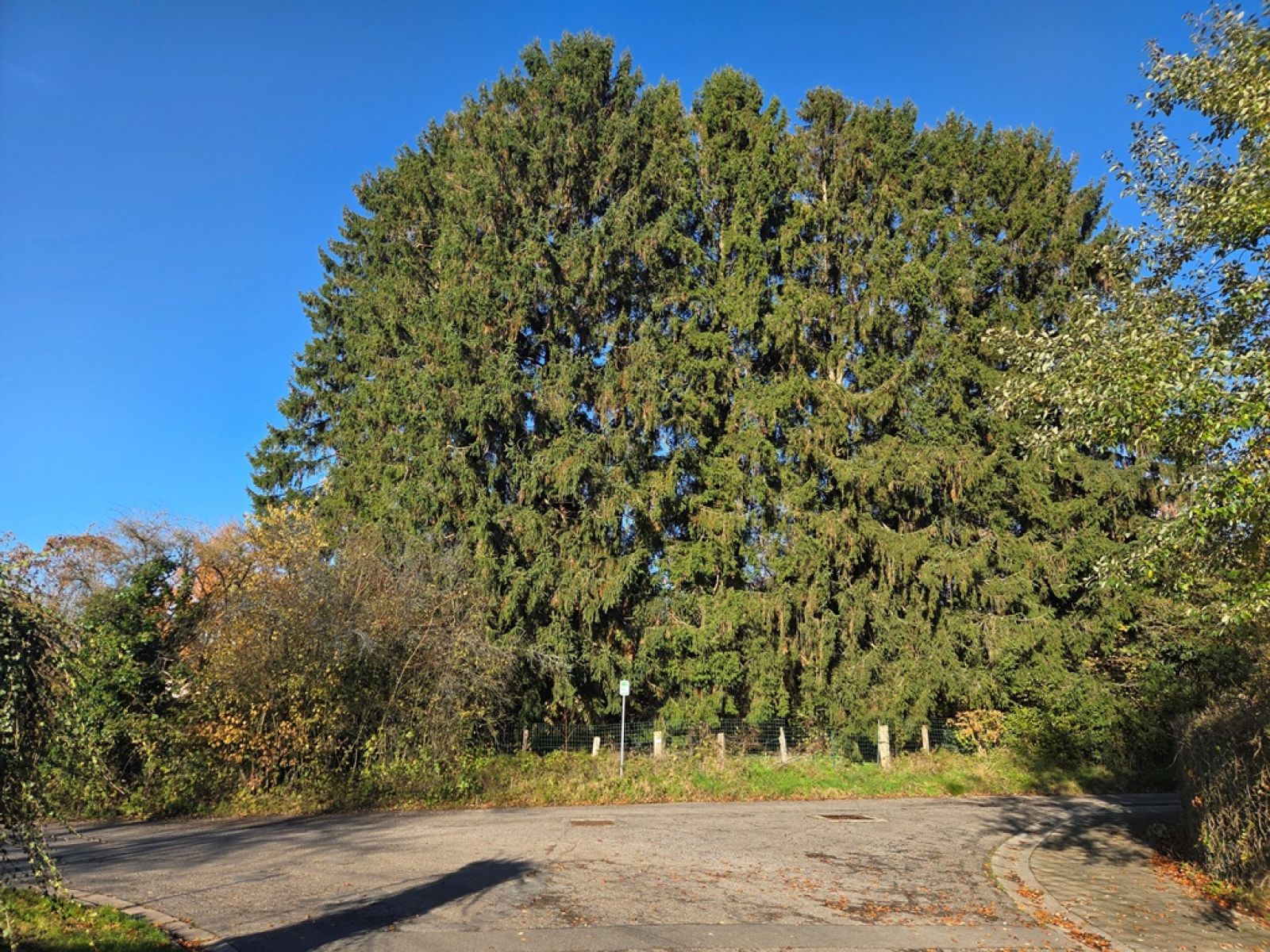 A VENDRE - Izel - Parcelle constructible - Sudimmo