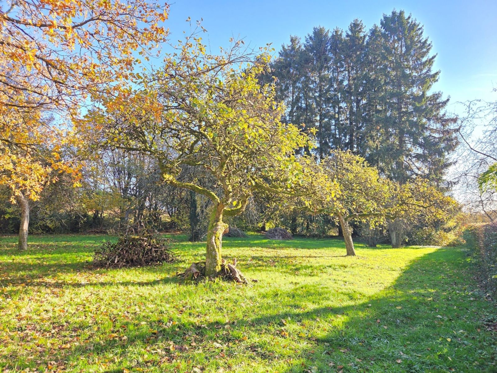 A VENDRE - Izel - Parcelle constructible - Sudimmo