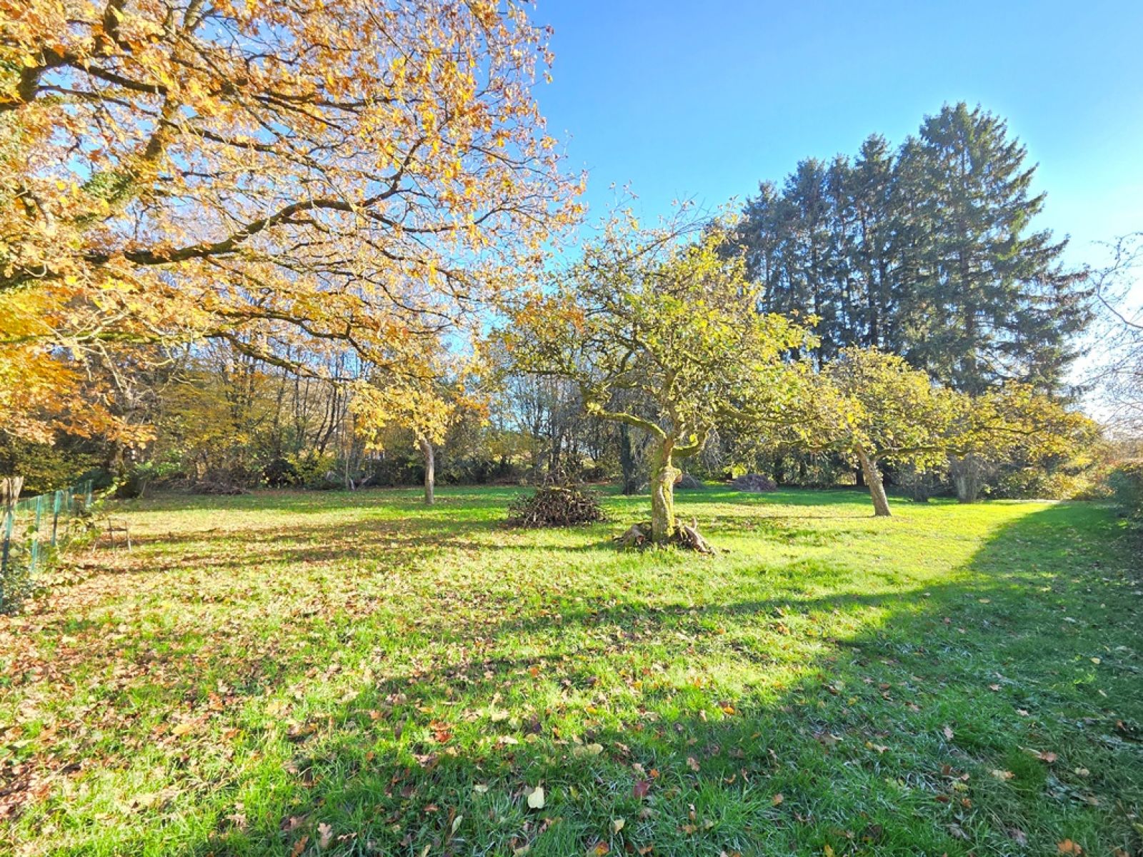 A VENDRE - Izel - Parcelle constructible - Sudimmo