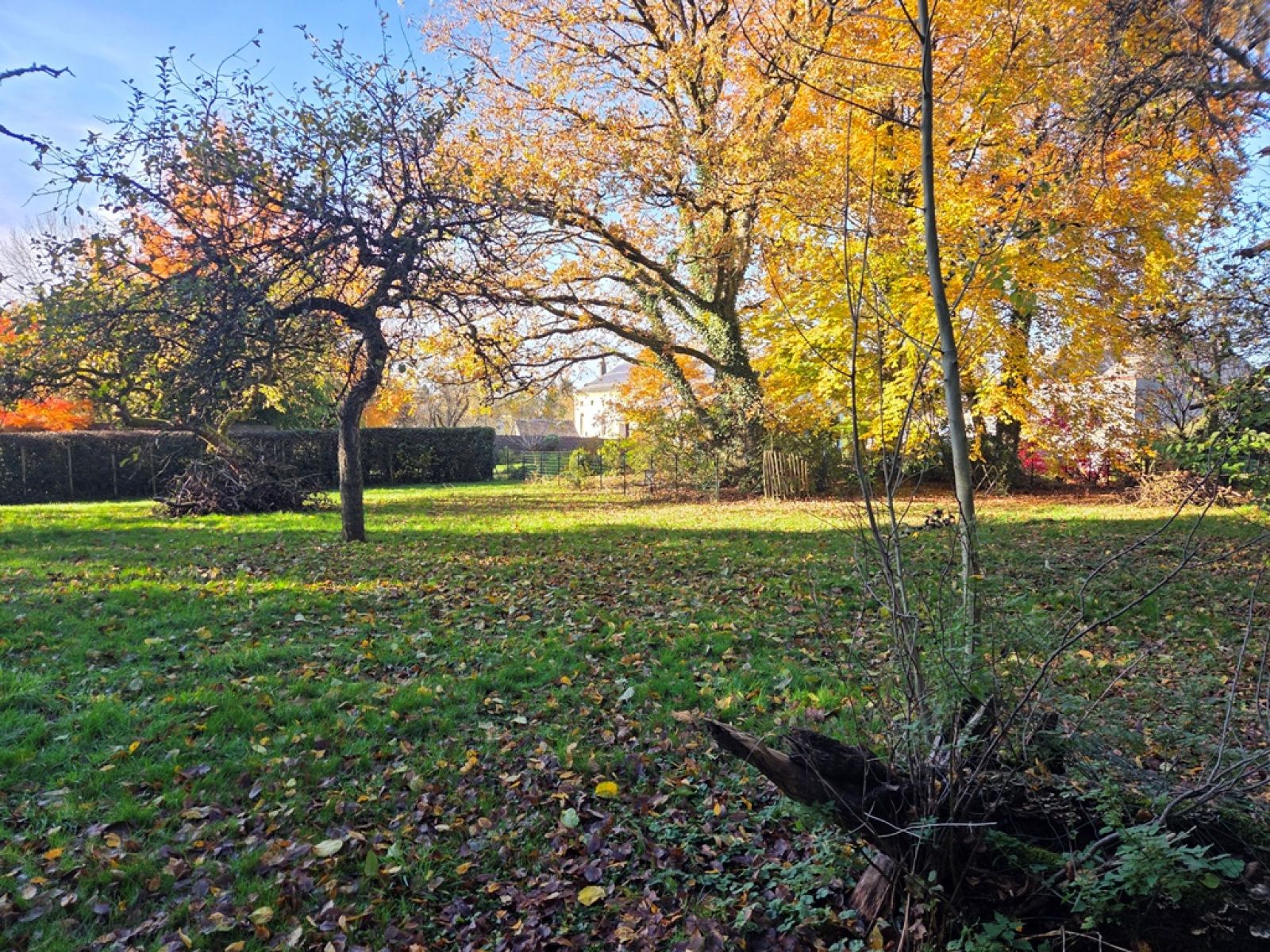 A VENDRE - Izel - Parcelle constructible - Sudimmo