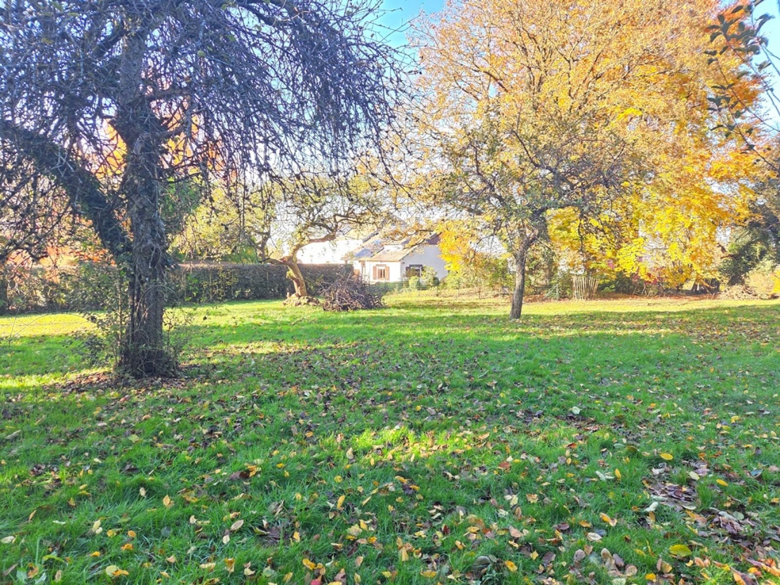 A VENDRE - Izel - Parcelle constructible - Sudimmo