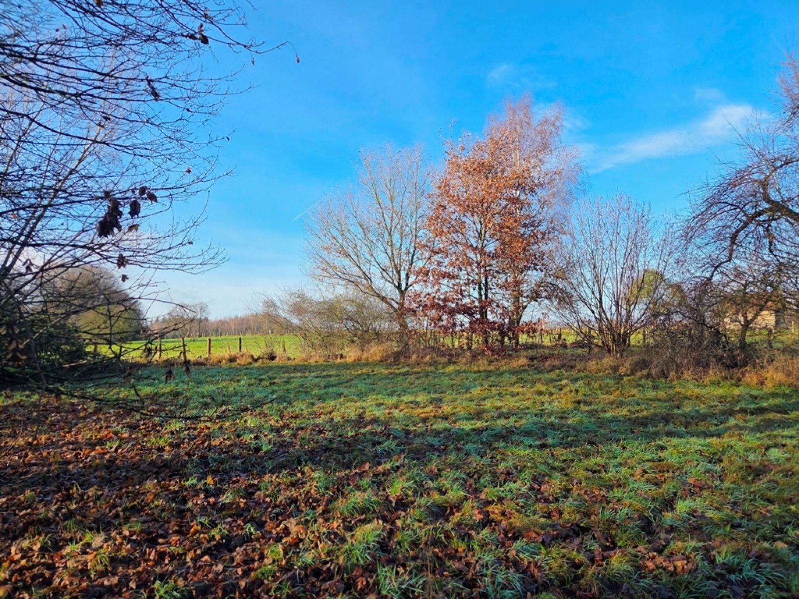 A VENDRE - Jamoigne - Villa avec terrain - Sudimmo