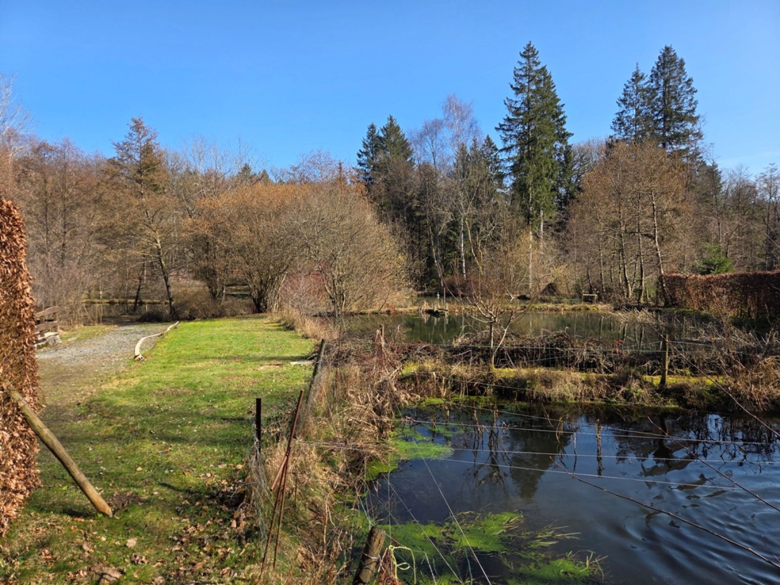 A VENDRE - Sainte-C&eacute;cile - Etangs - Sudimmo