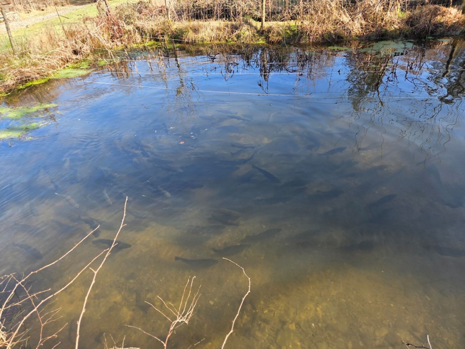 A VENDRE - Sainte-C&eacute;cile - Etangs - Sudimmo
