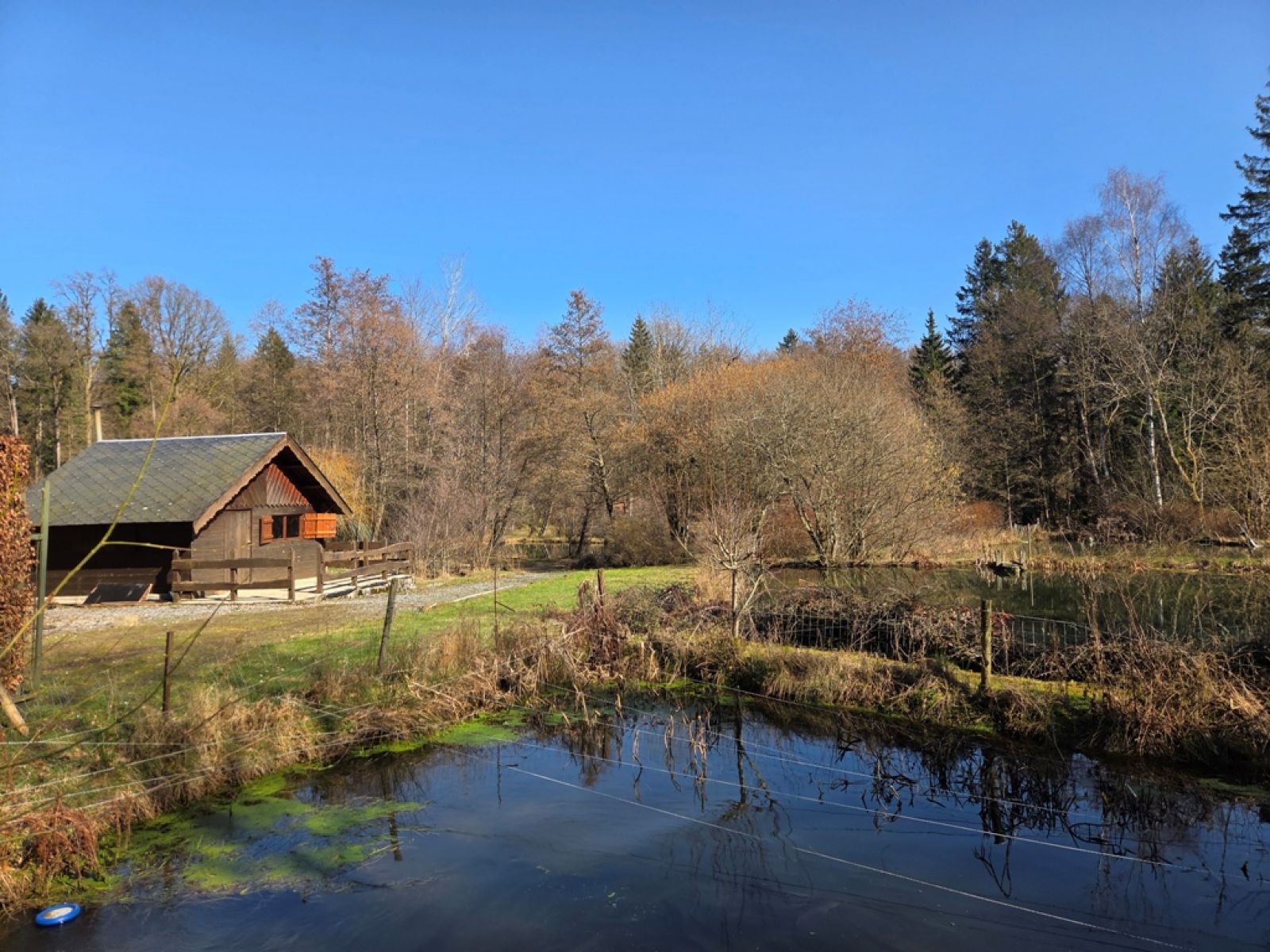 A VENDRE - Sainte-C&eacute;cile - Etangs - Sudimmo