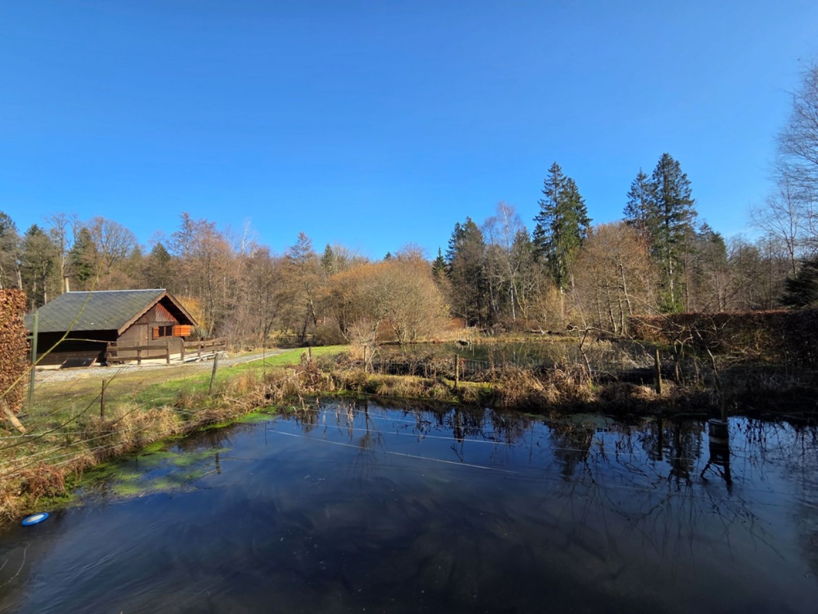 A VENDRE - Sainte-C&eacute;cile - Etangs - Sudimmo