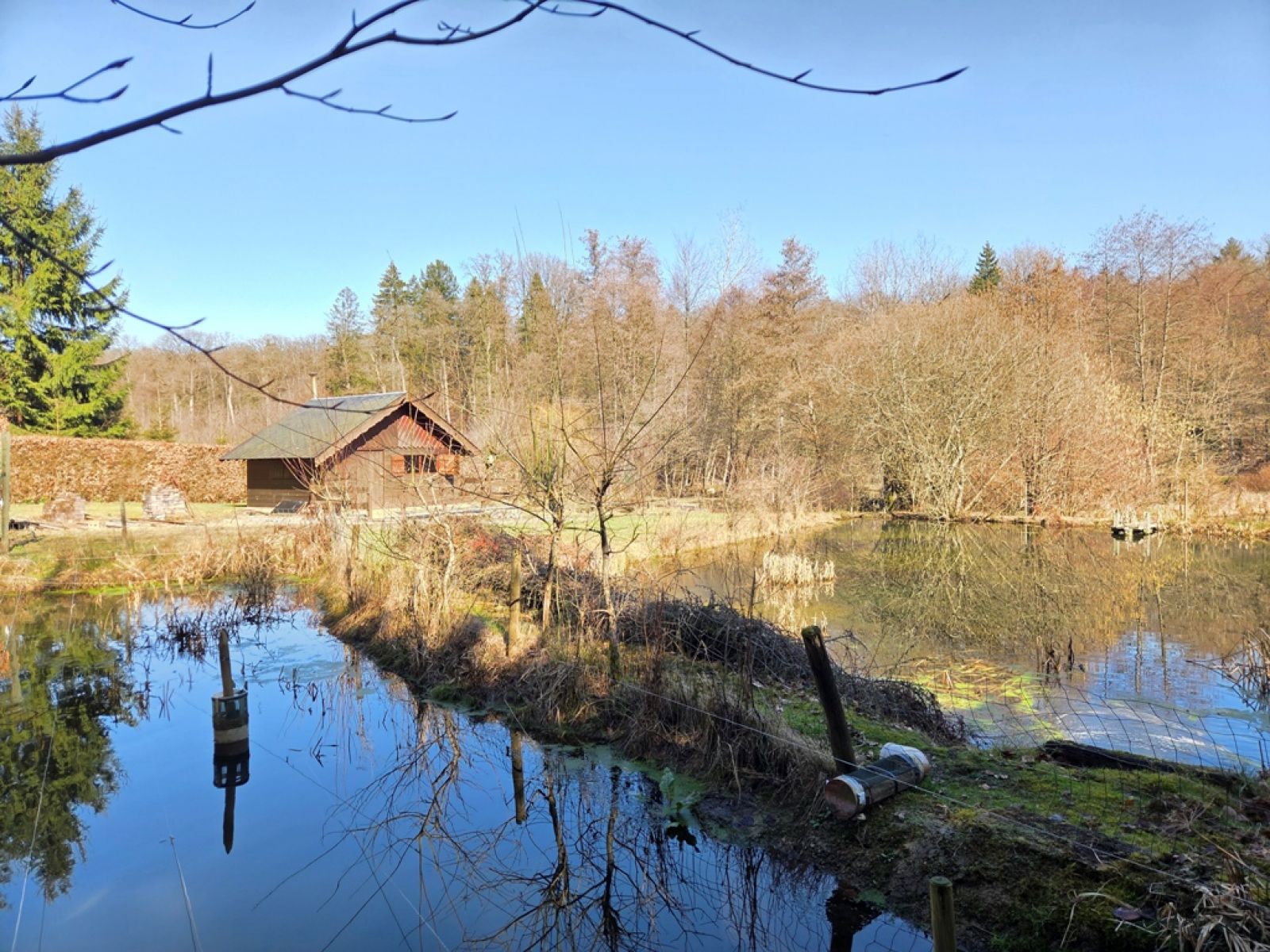 A VENDRE - Sainte-C&eacute;cile - Etangs - Sudimmo
