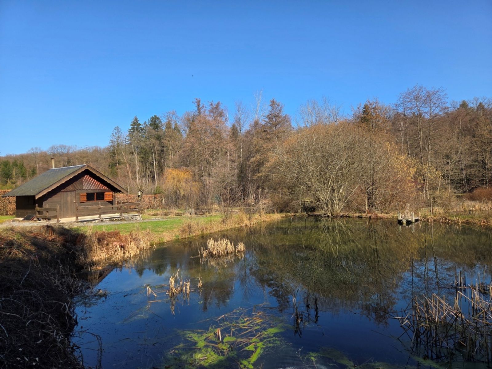 A VENDRE - Sainte-C&eacute;cile - Etangs - Sudimmo