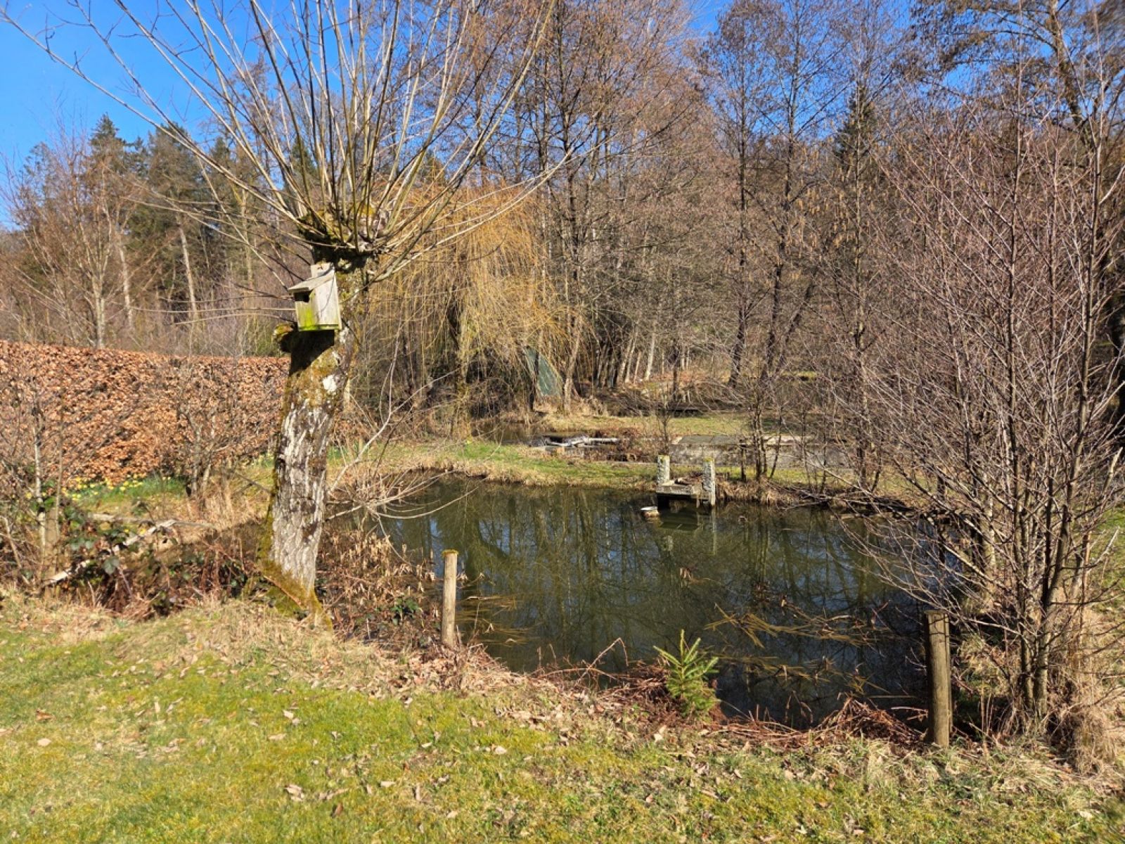A VENDRE - Sainte-C&eacute;cile - Etangs - Sudimmo
