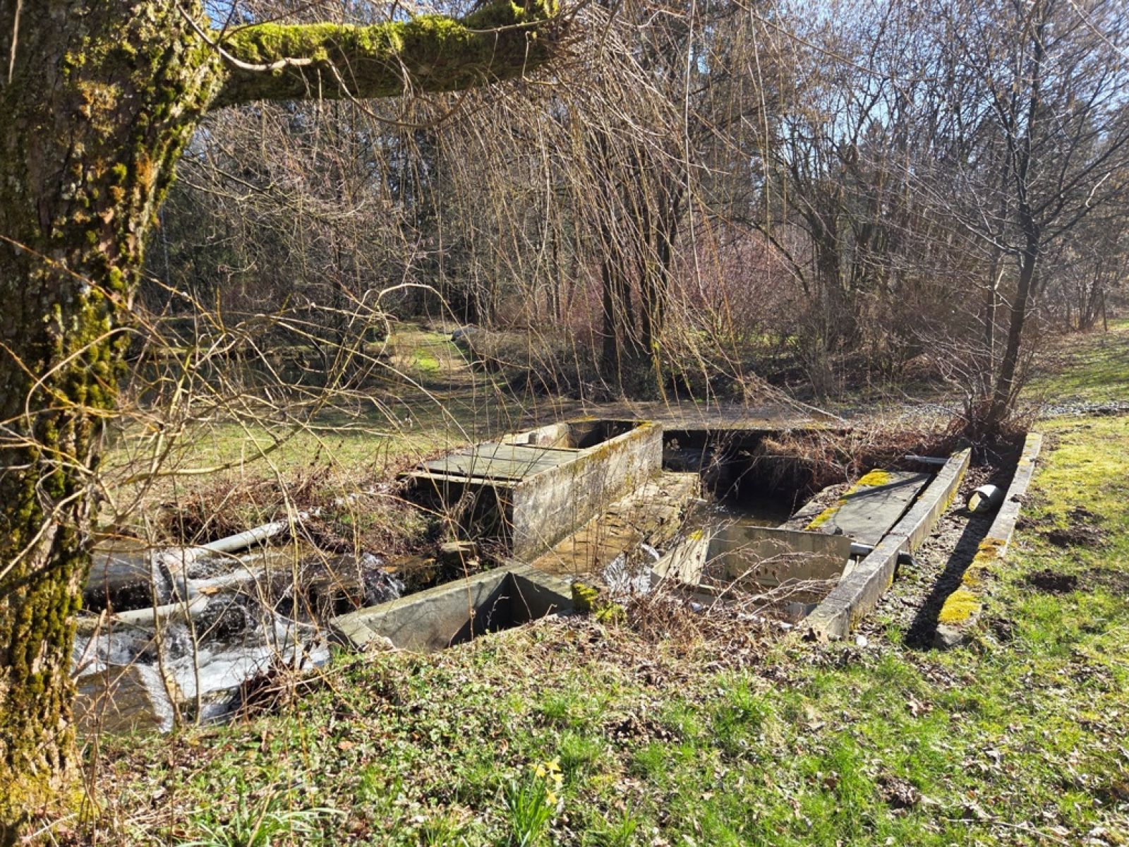 A VENDRE - Sainte-C&eacute;cile - Etangs - Sudimmo