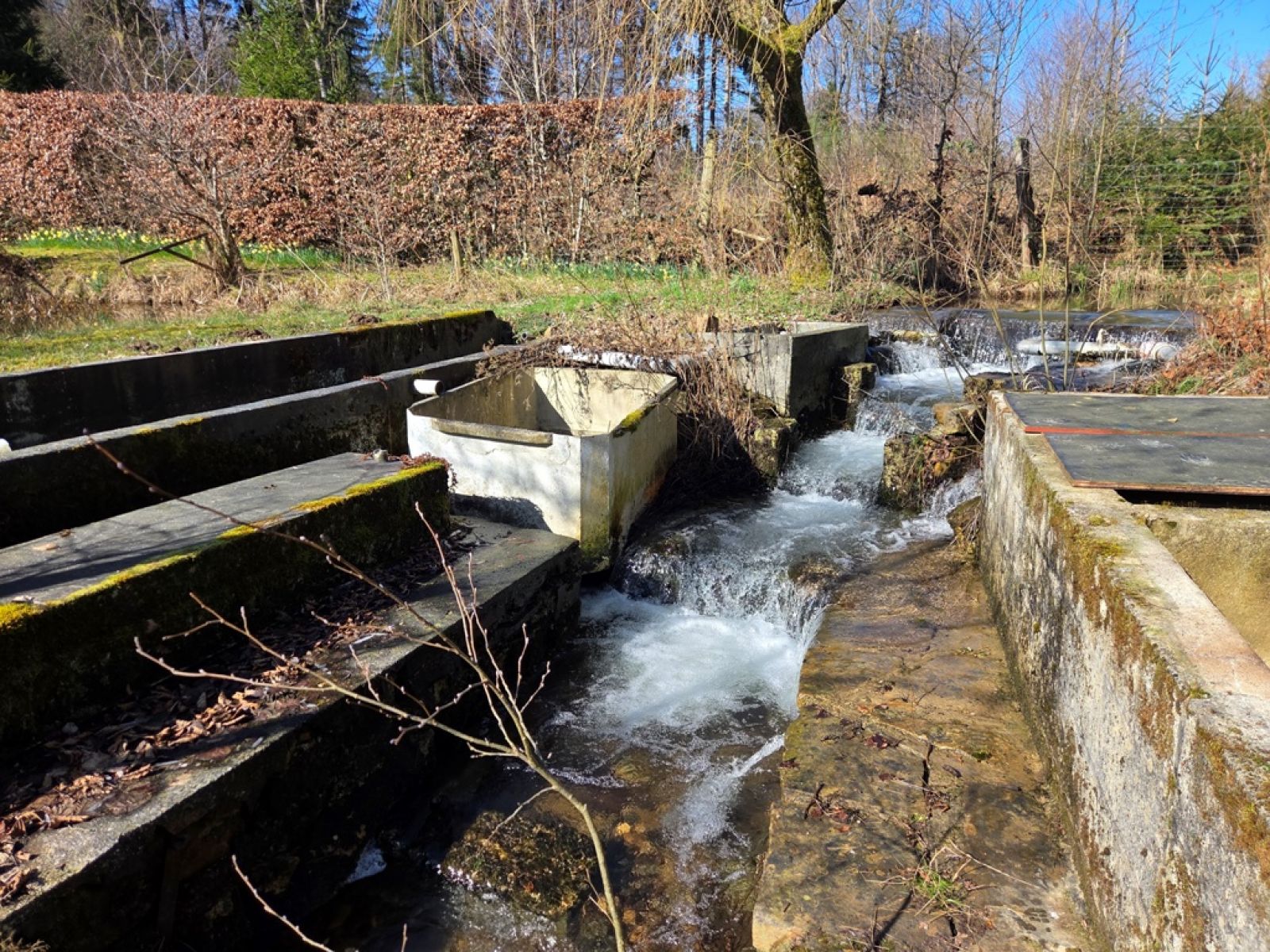 A VENDRE - Sainte-C&eacute;cile - Etangs - Sudimmo