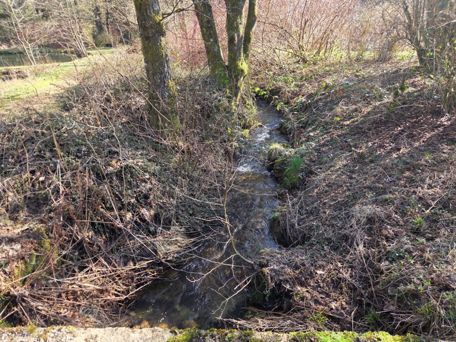 A VENDRE - Sainte-C&eacute;cile - Etangs - Sudimmo