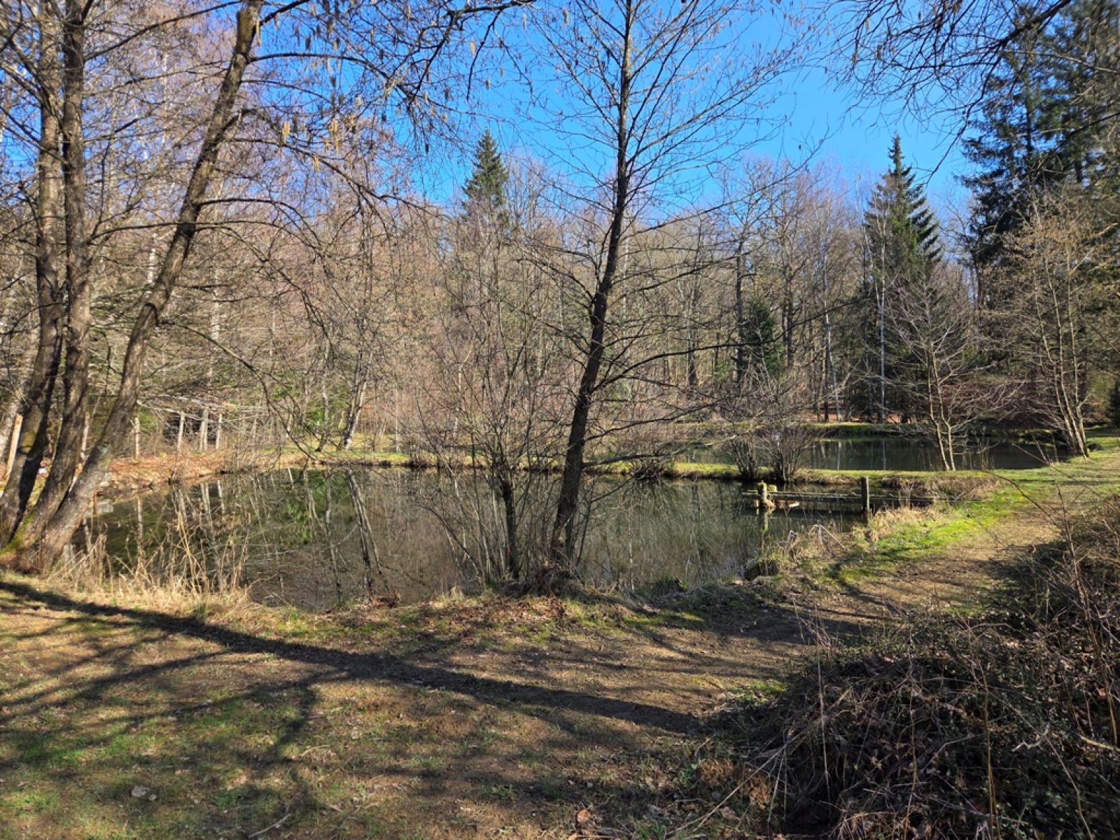 A VENDRE - Sainte-C&eacute;cile - Etangs - Sudimmo