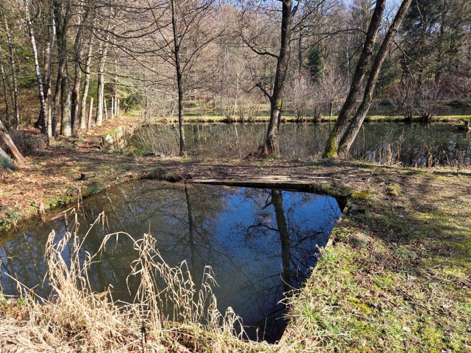 A VENDRE - Sainte-C&eacute;cile - Etangs - Sudimmo