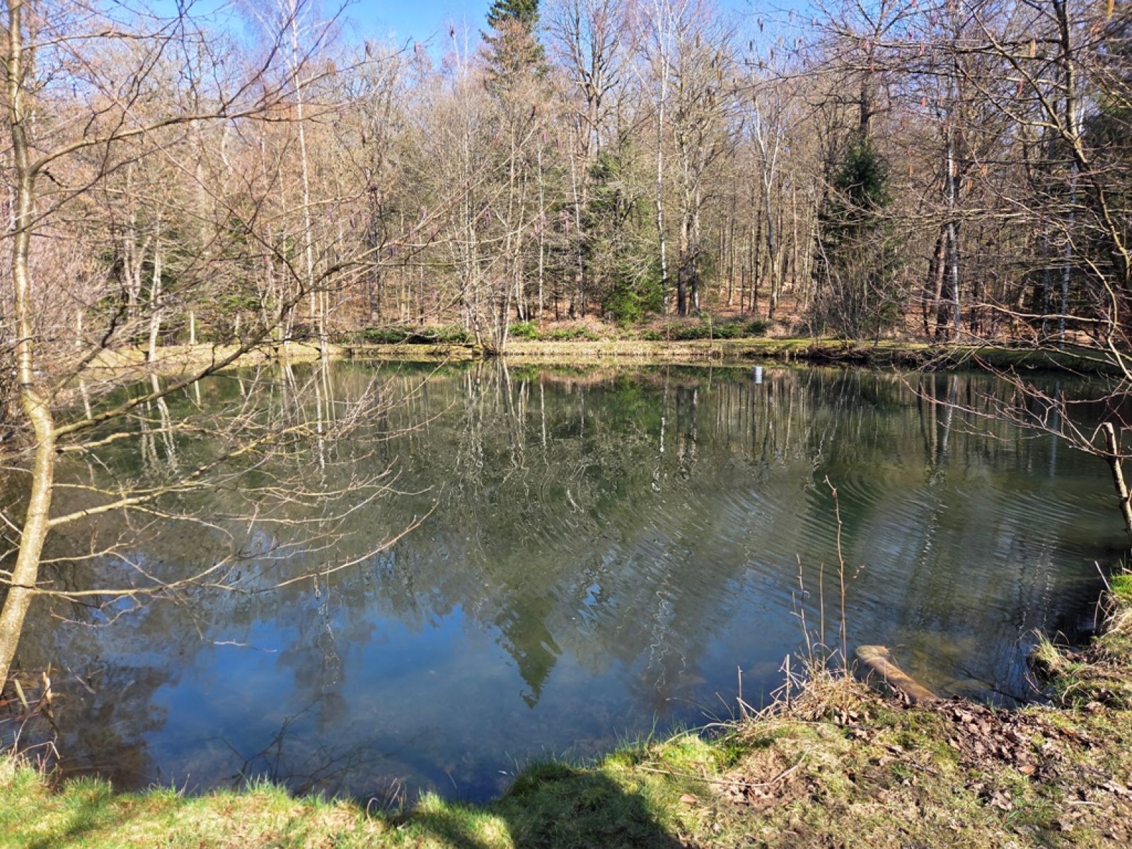 A VENDRE - Sainte-C&eacute;cile - Etangs - Sudimmo