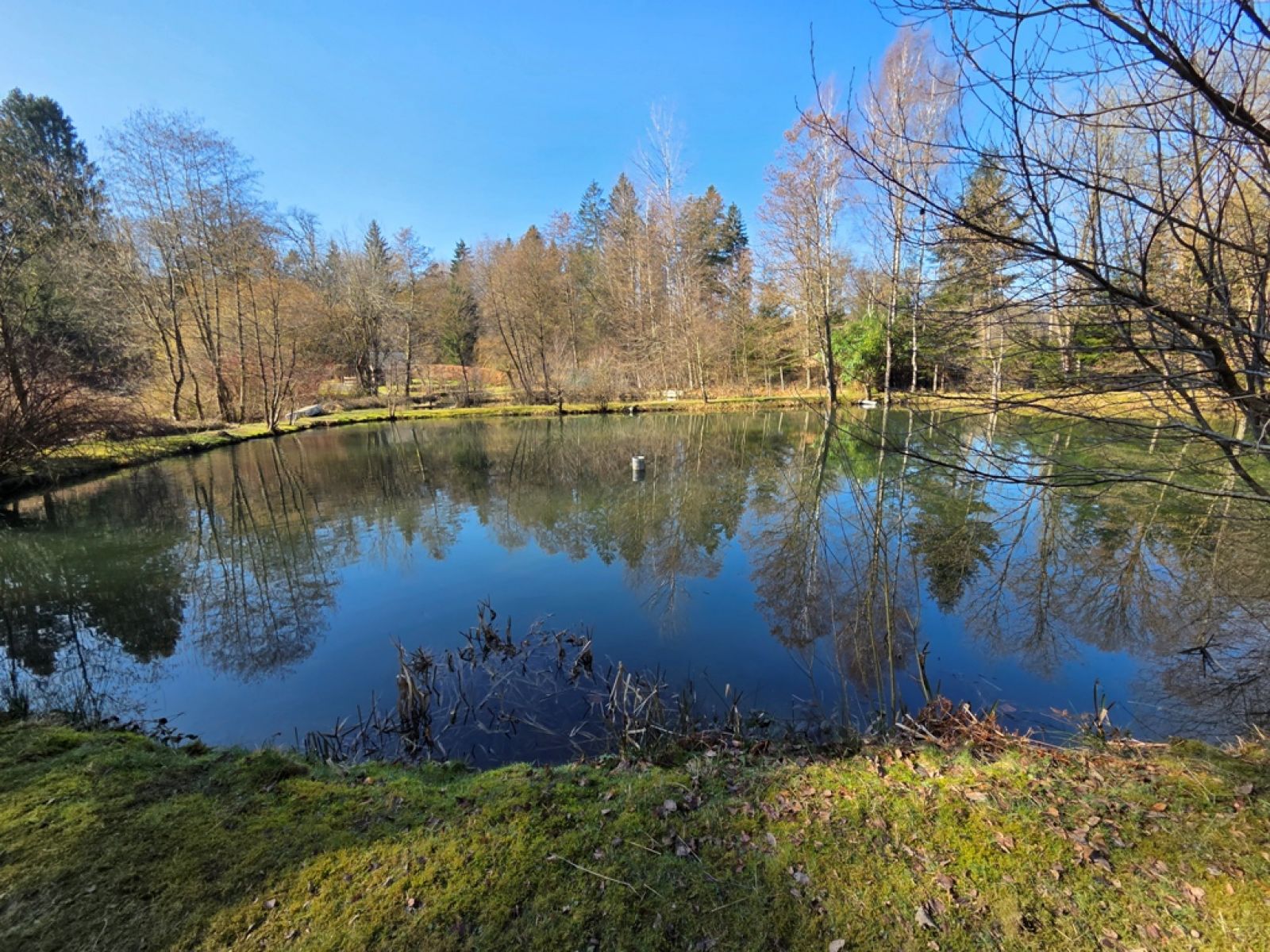 A VENDRE - Sainte-C&eacute;cile - Etangs - Sudimmo