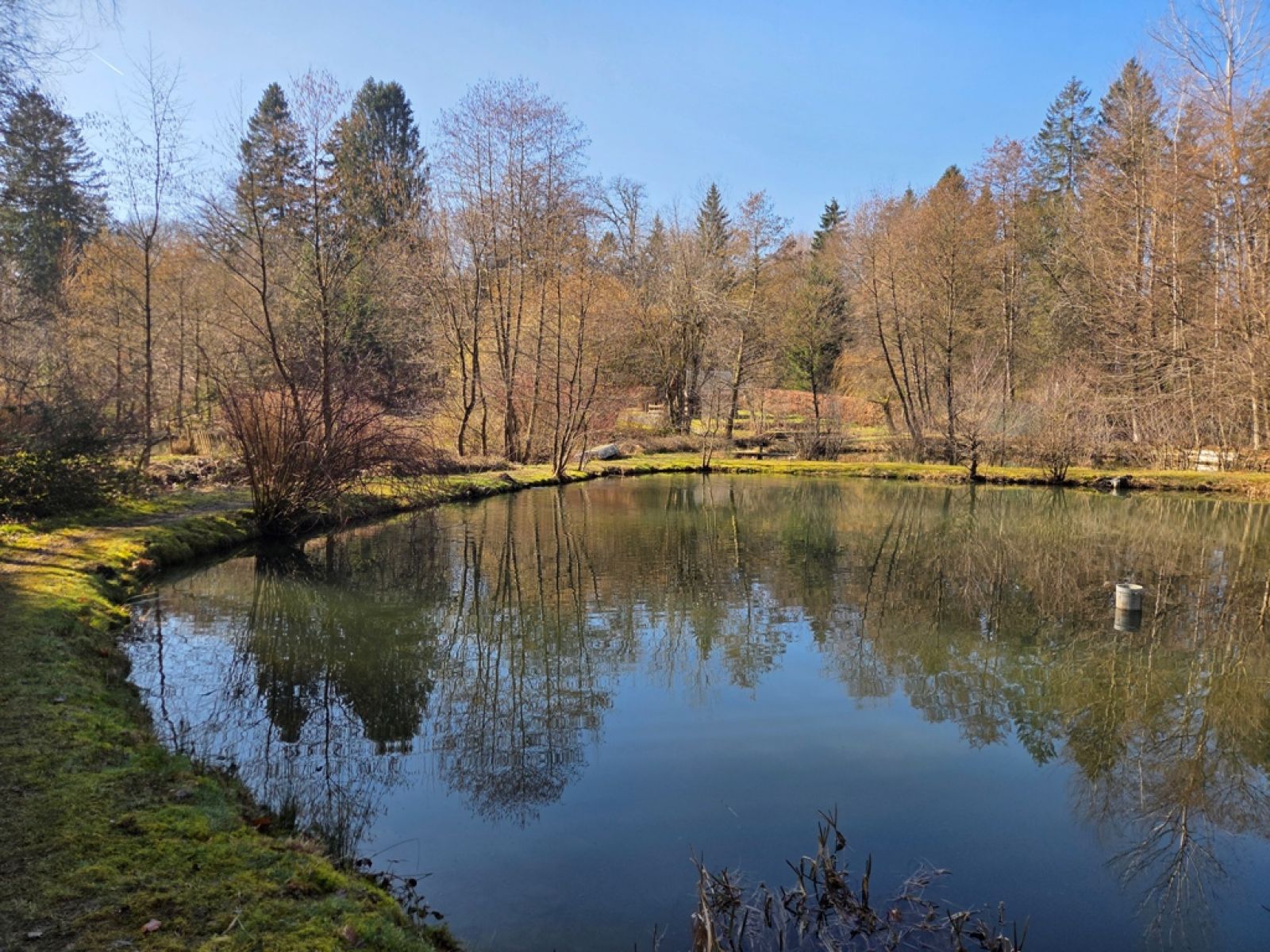 A VENDRE - Sainte-C&eacute;cile - Etangs - Sudimmo