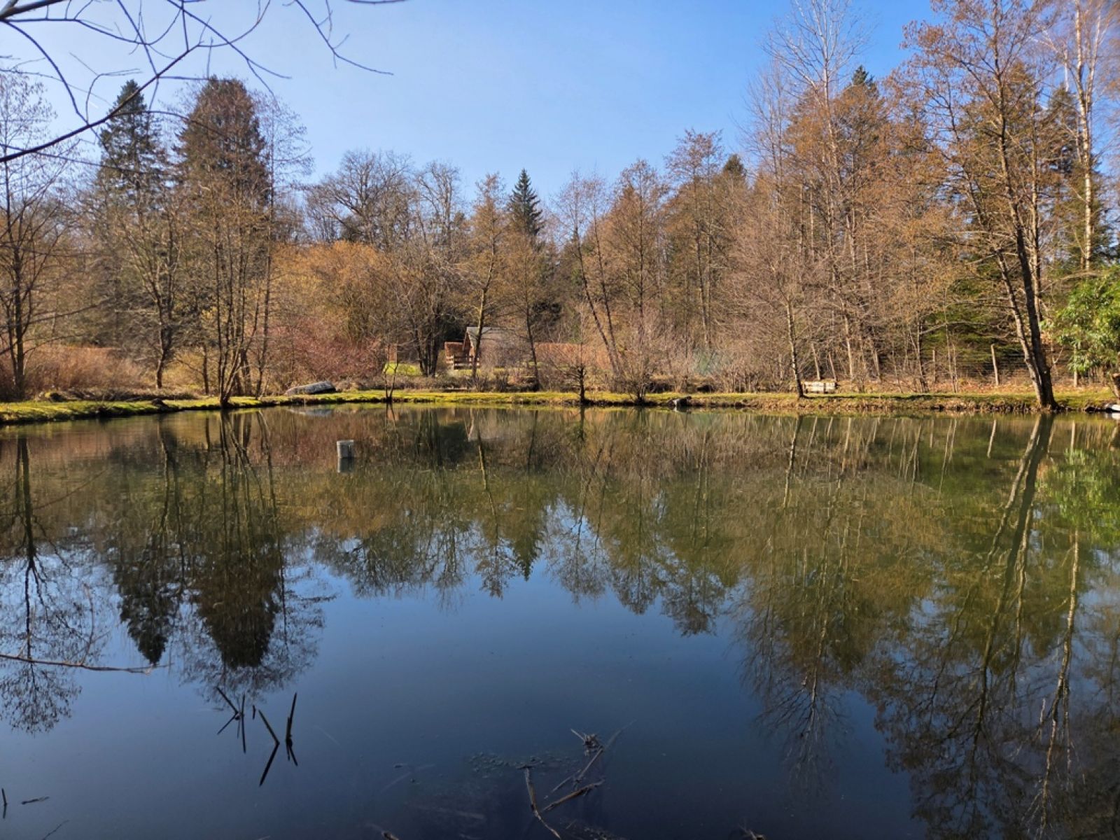 A VENDRE - Sainte-C&eacute;cile - Etangs - Sudimmo