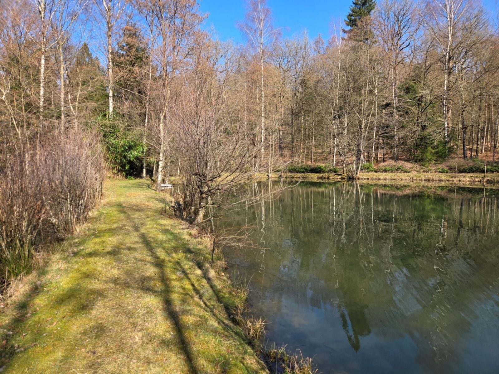 A VENDRE - Sainte-C&eacute;cile - Etangs - Sudimmo