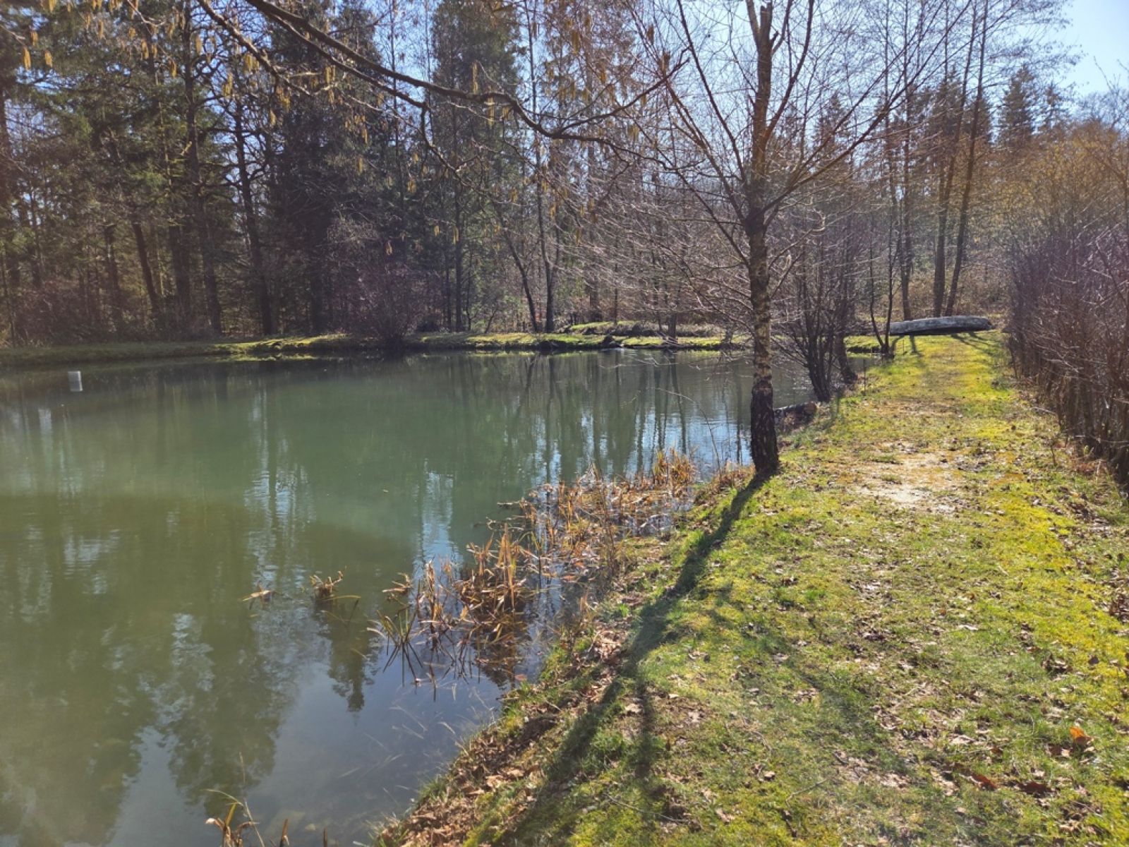 A VENDRE - Sainte-C&eacute;cile - Etangs - Sudimmo