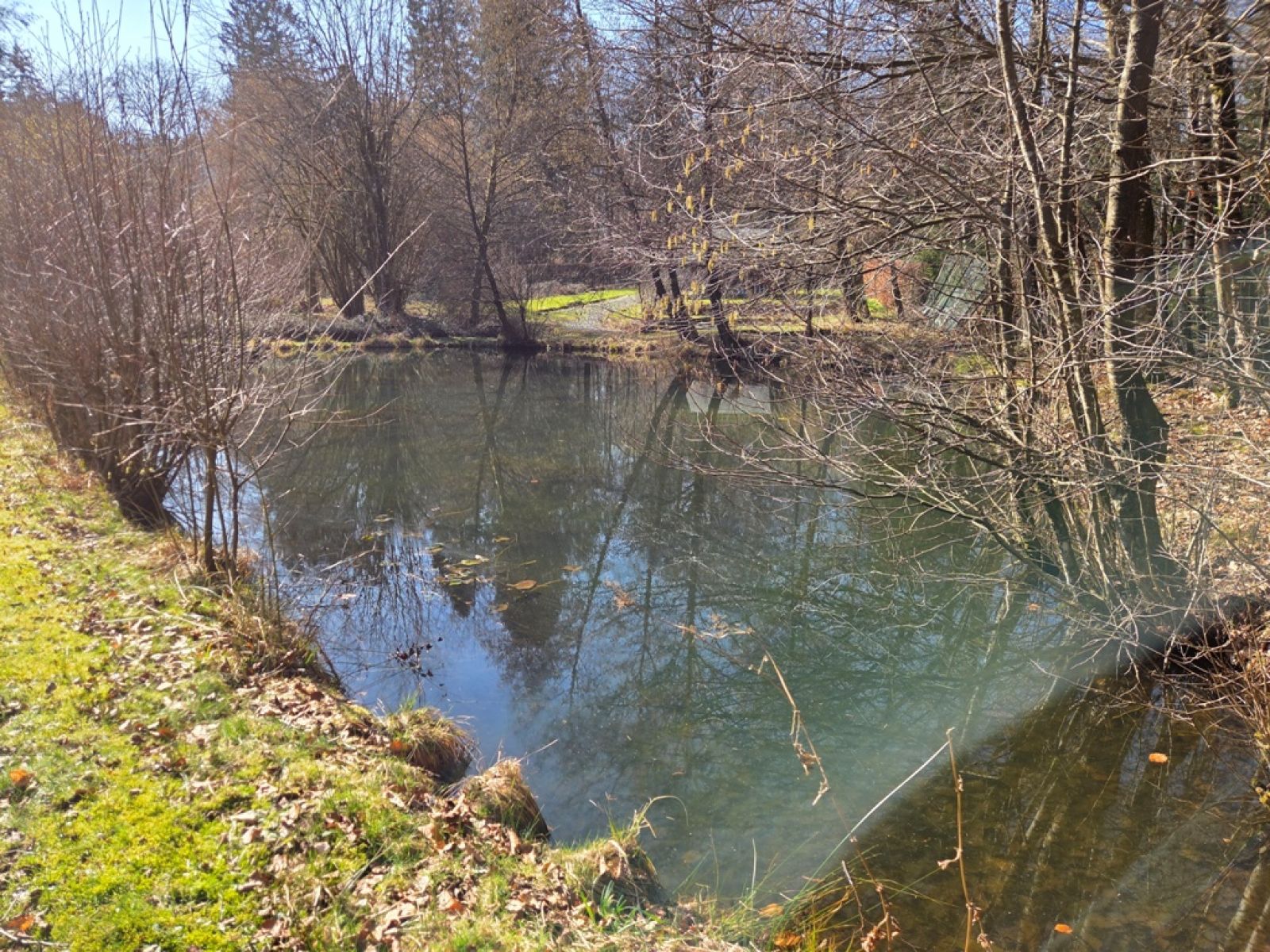 A VENDRE - Sainte-C&eacute;cile - Etangs - Sudimmo