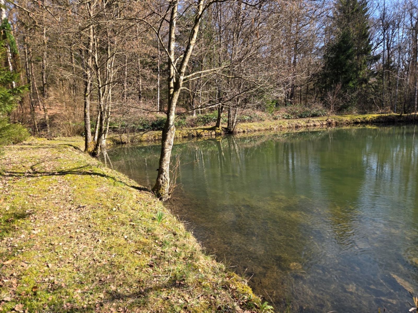 A VENDRE - Sainte-C&eacute;cile - Etangs - Sudimmo