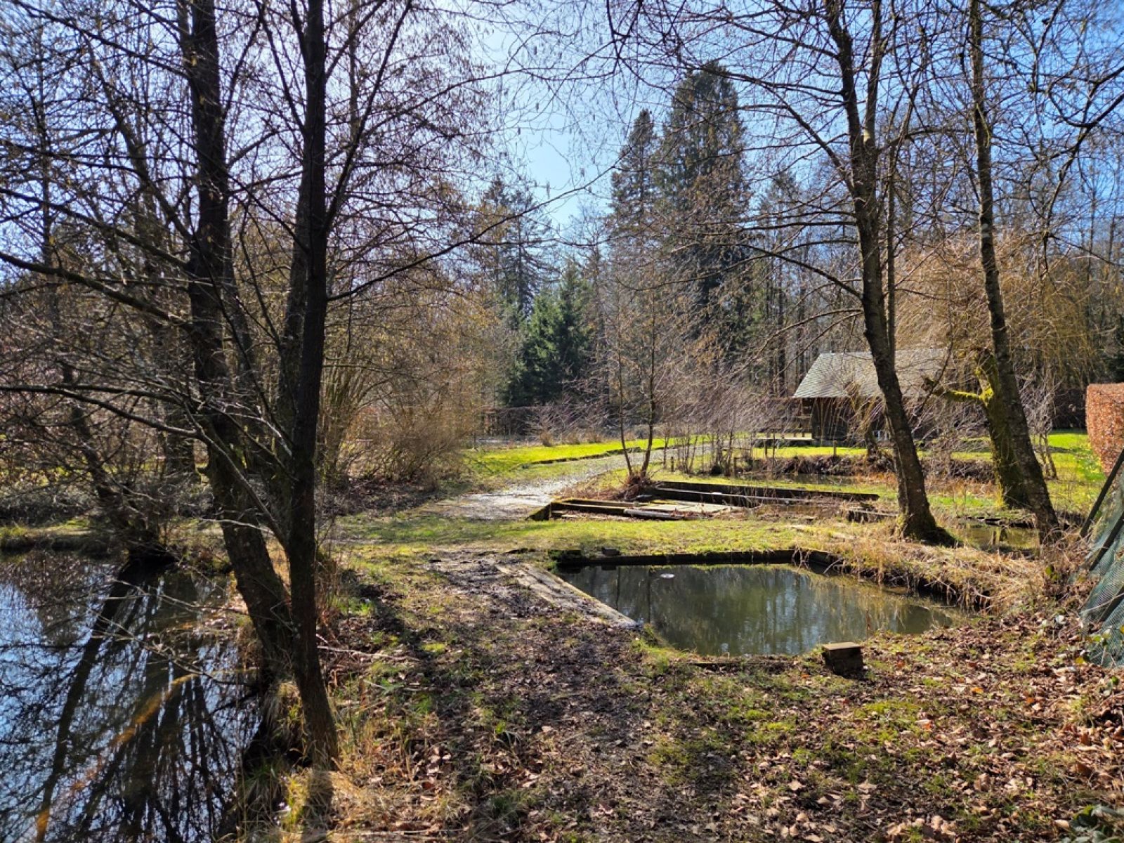 A VENDRE - Sainte-C&eacute;cile - Etangs - Sudimmo