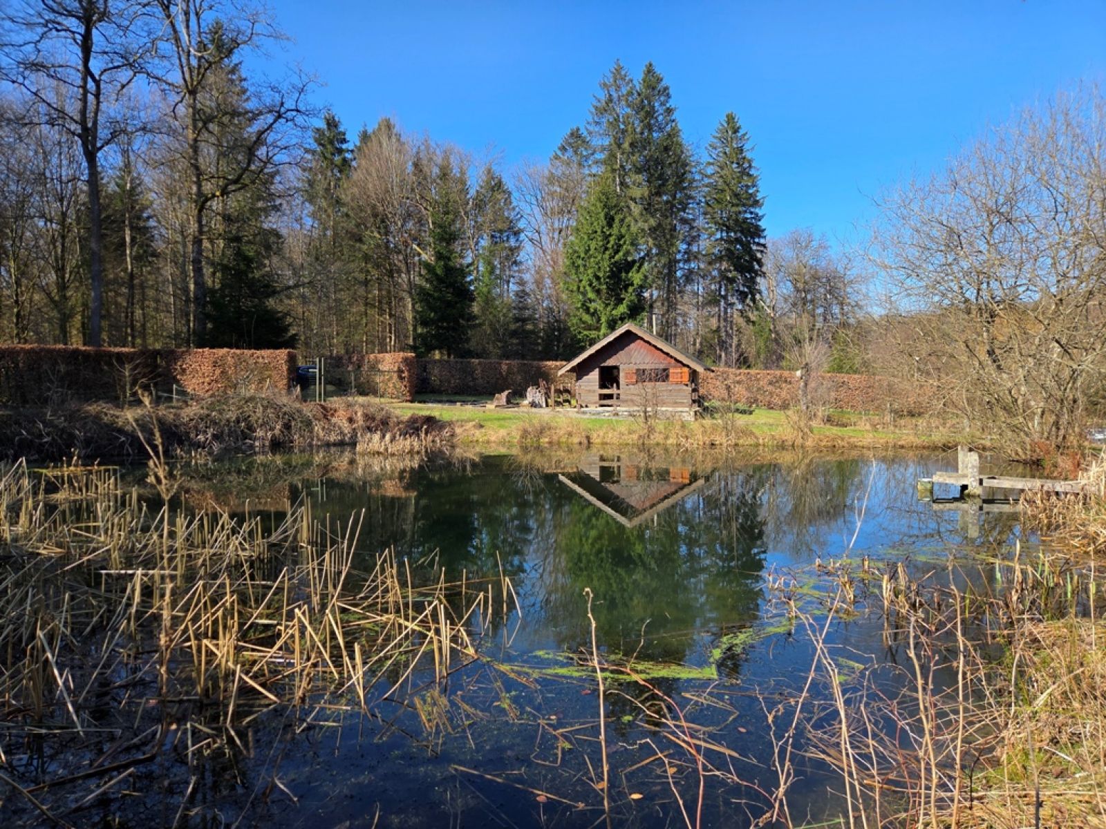 A VENDRE - Sainte-C&eacute;cile - Etangs - Sudimmo