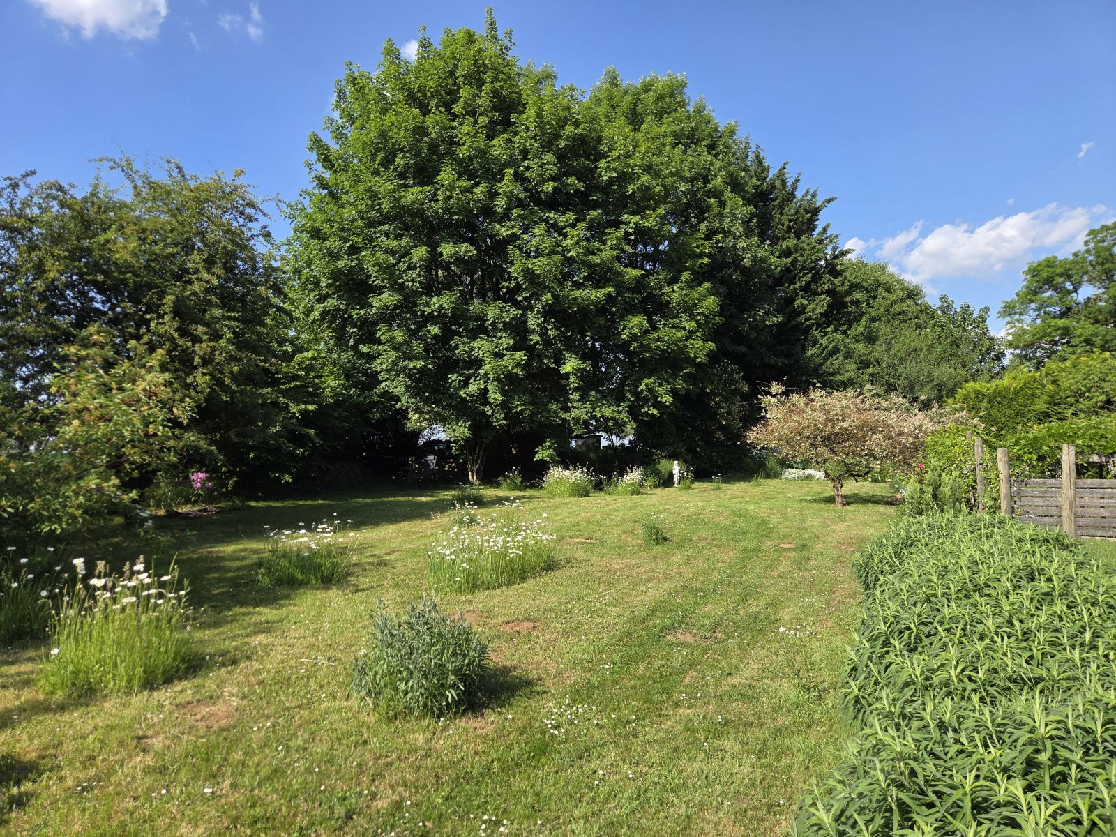 A VENDRE - Fontenoille - Les 4 Arbres - Sudimmo