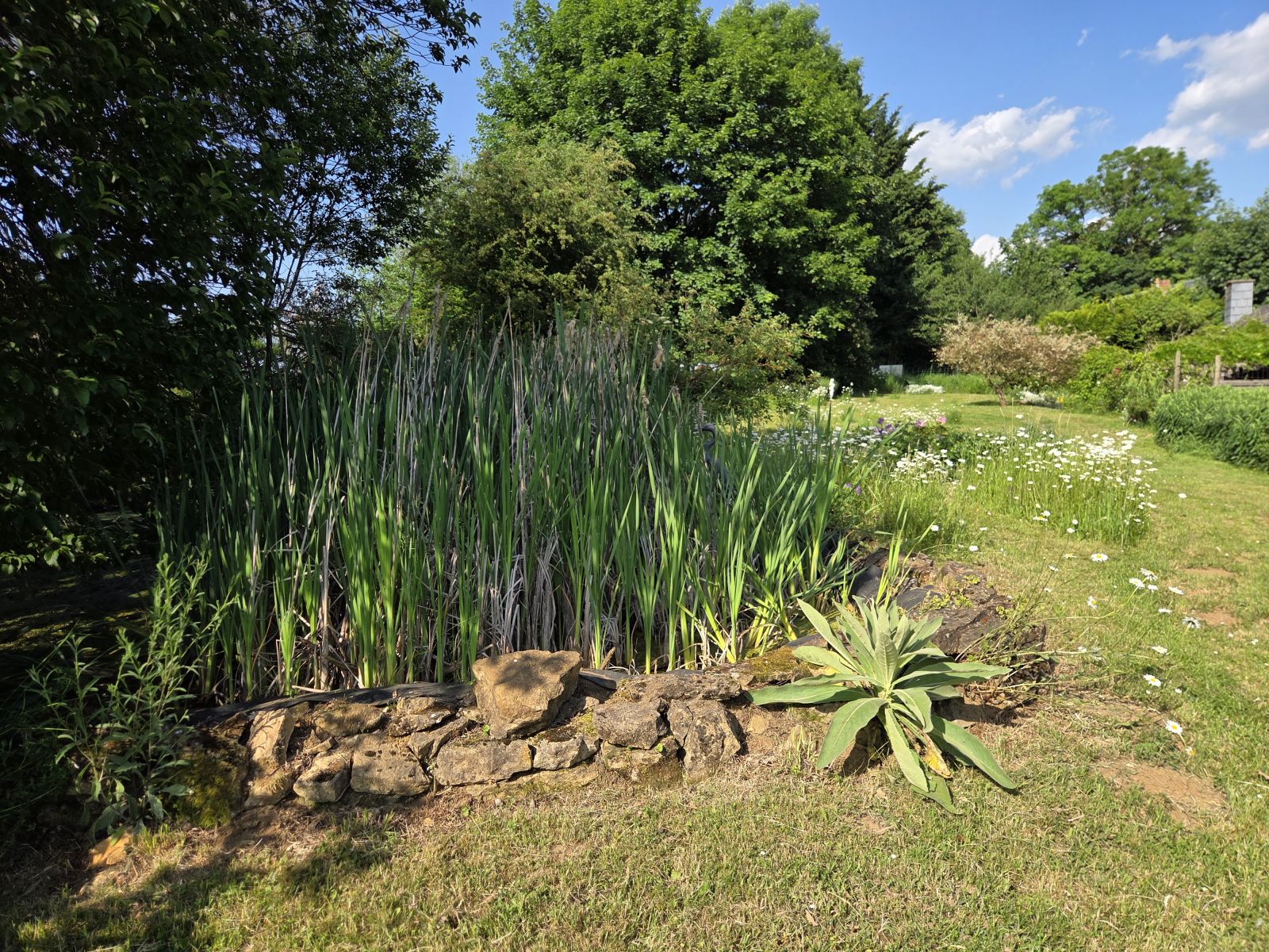 A VENDRE - Fontenoille - Les 4 Arbres - Sudimmo
